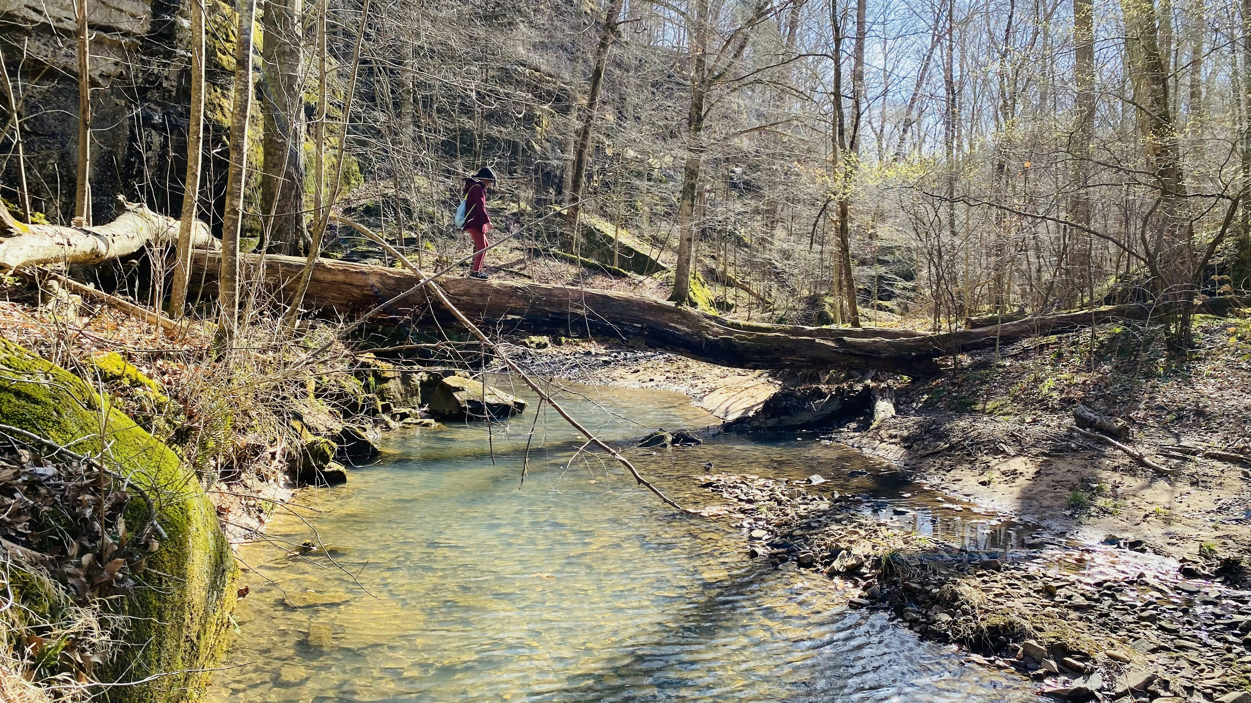 Dead Run Stream Valley Park