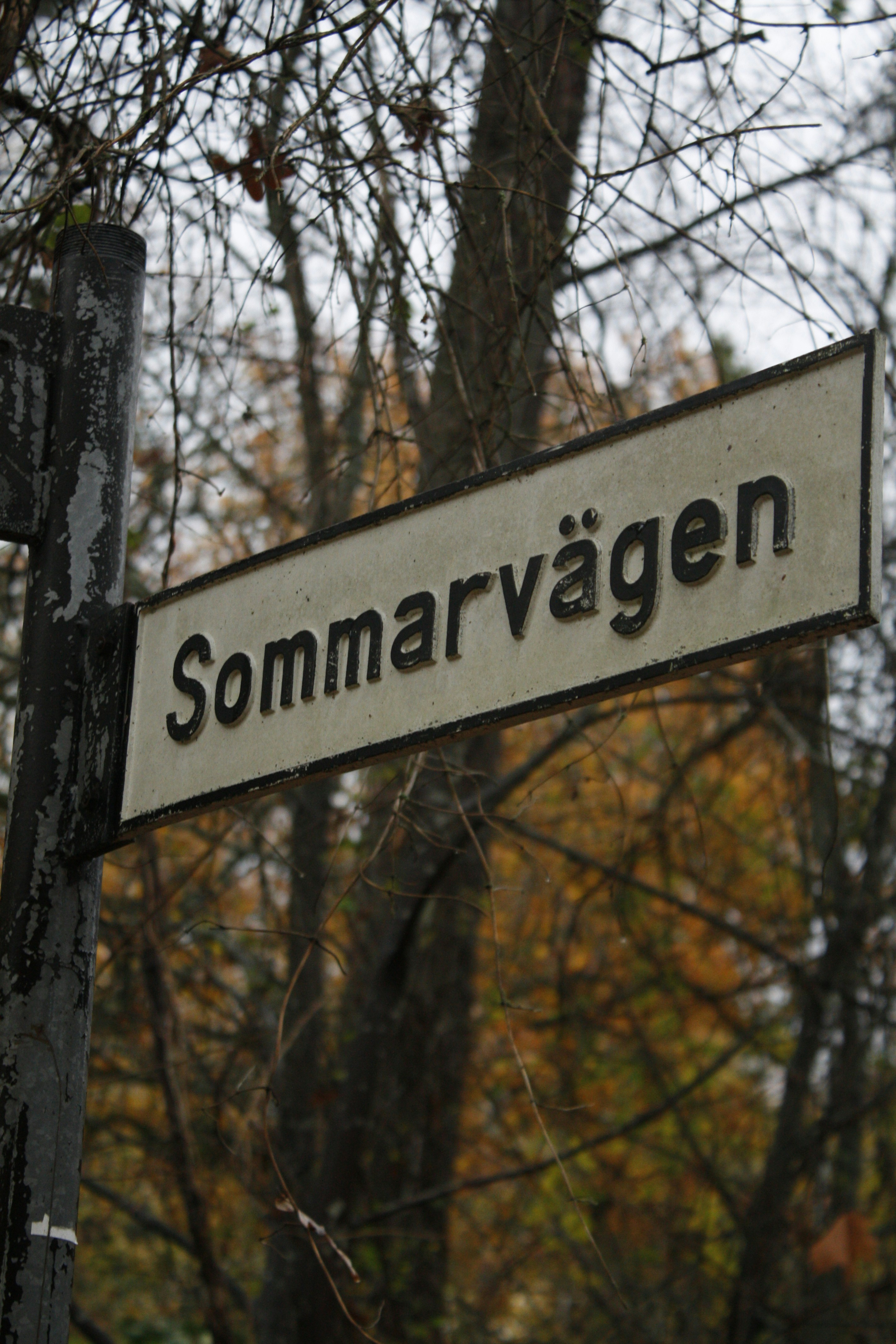Street sign reads sommarvagen in front of trees