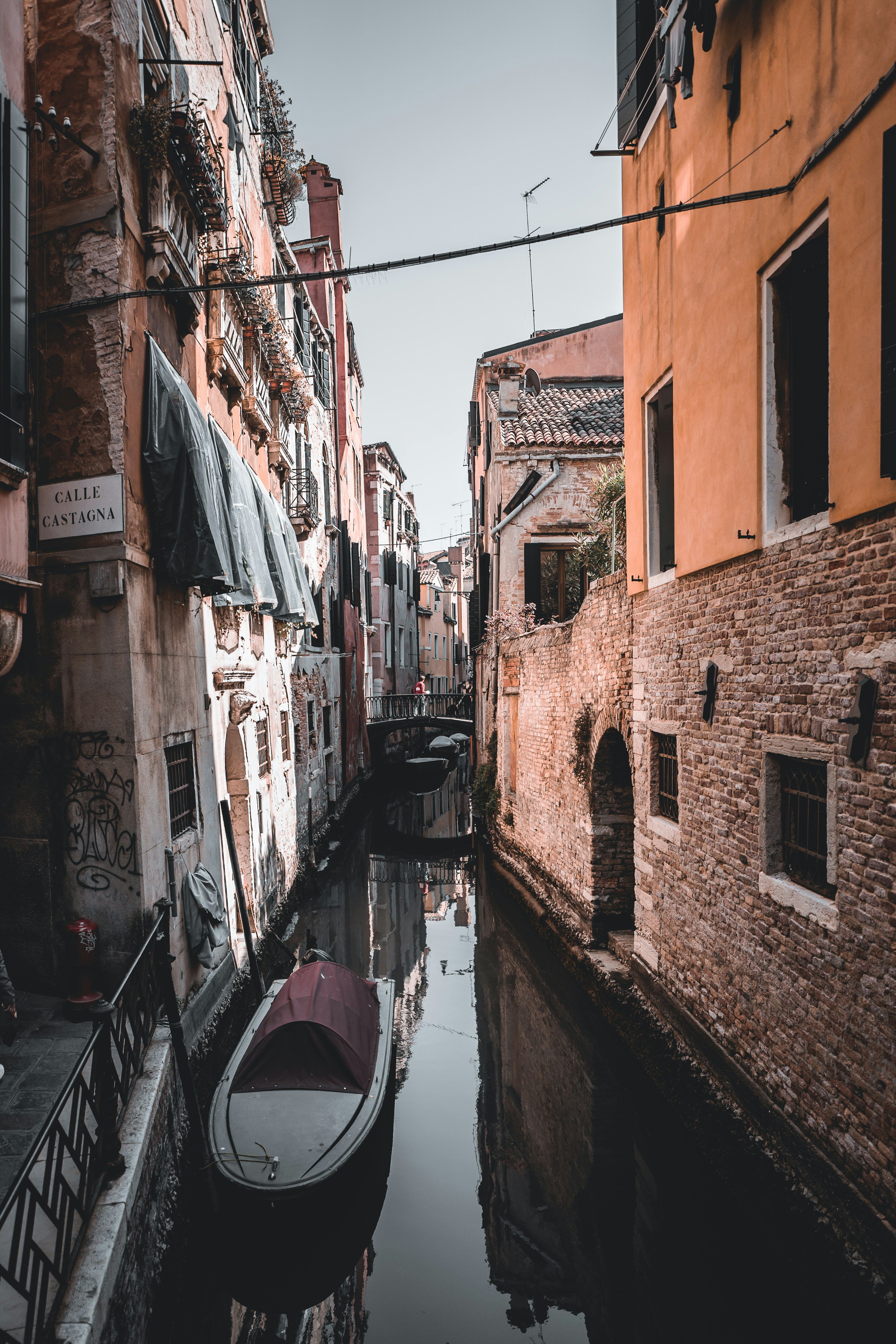 Photo by real_jansen