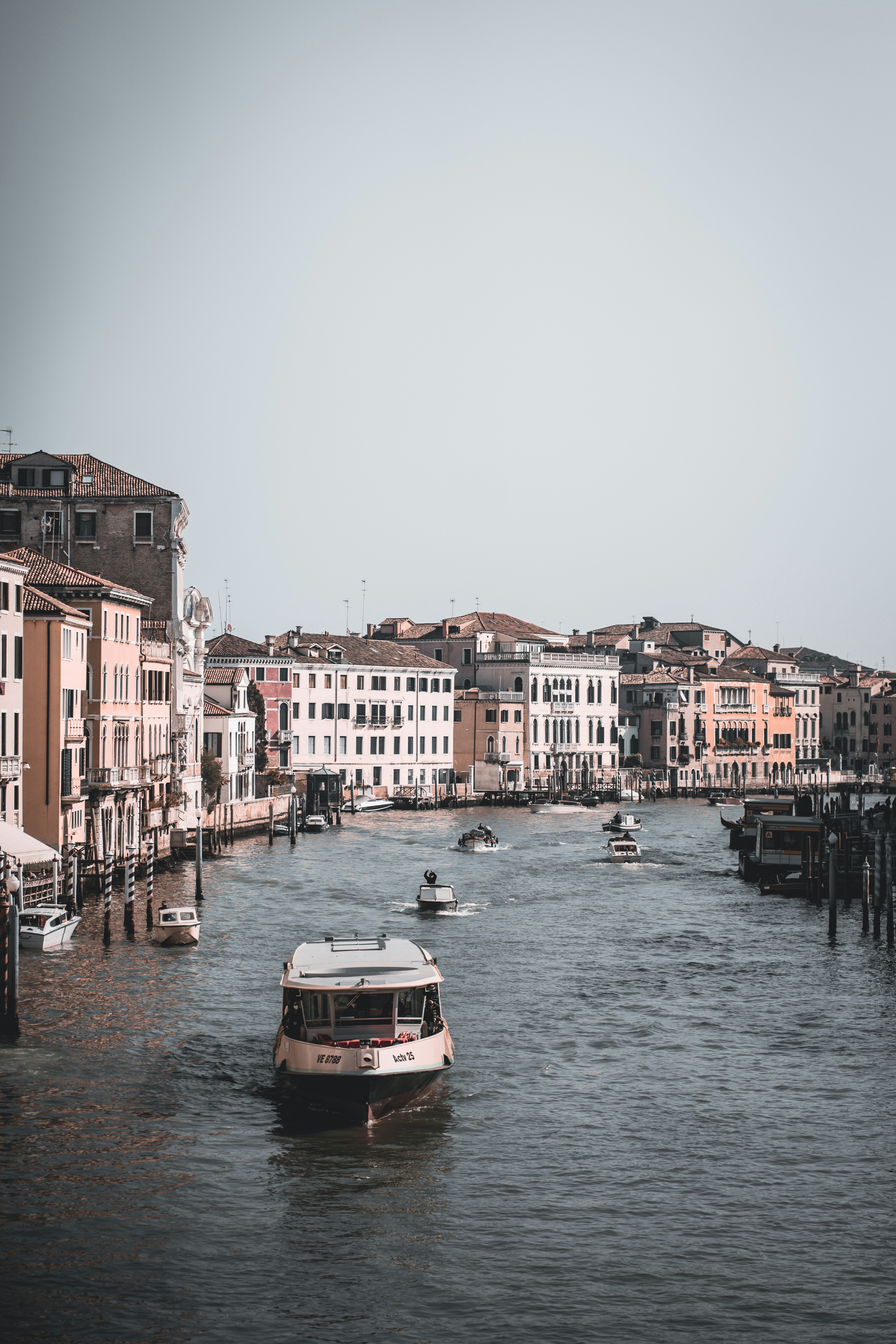 Photo by real_jansen