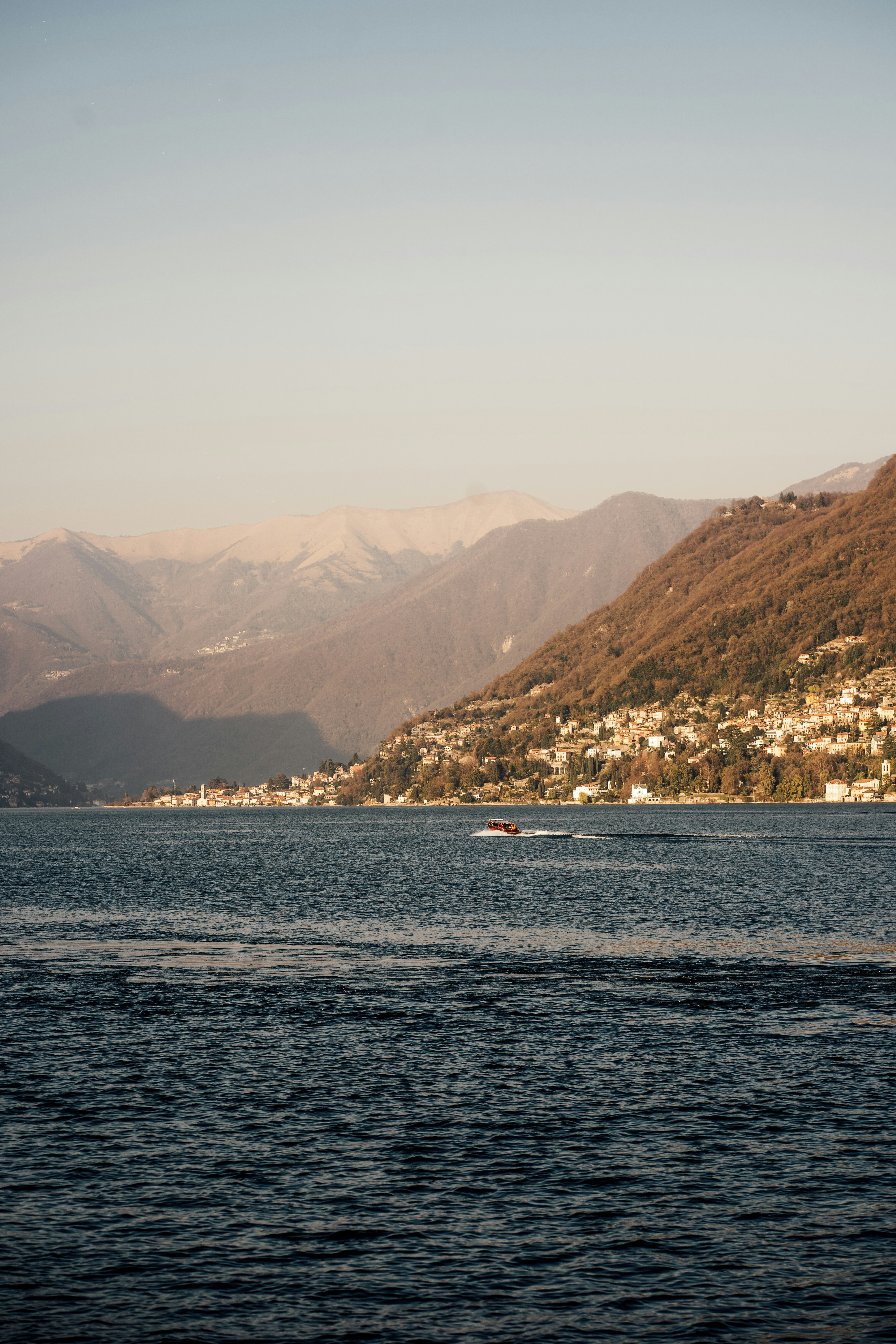 Photo by real_jansen