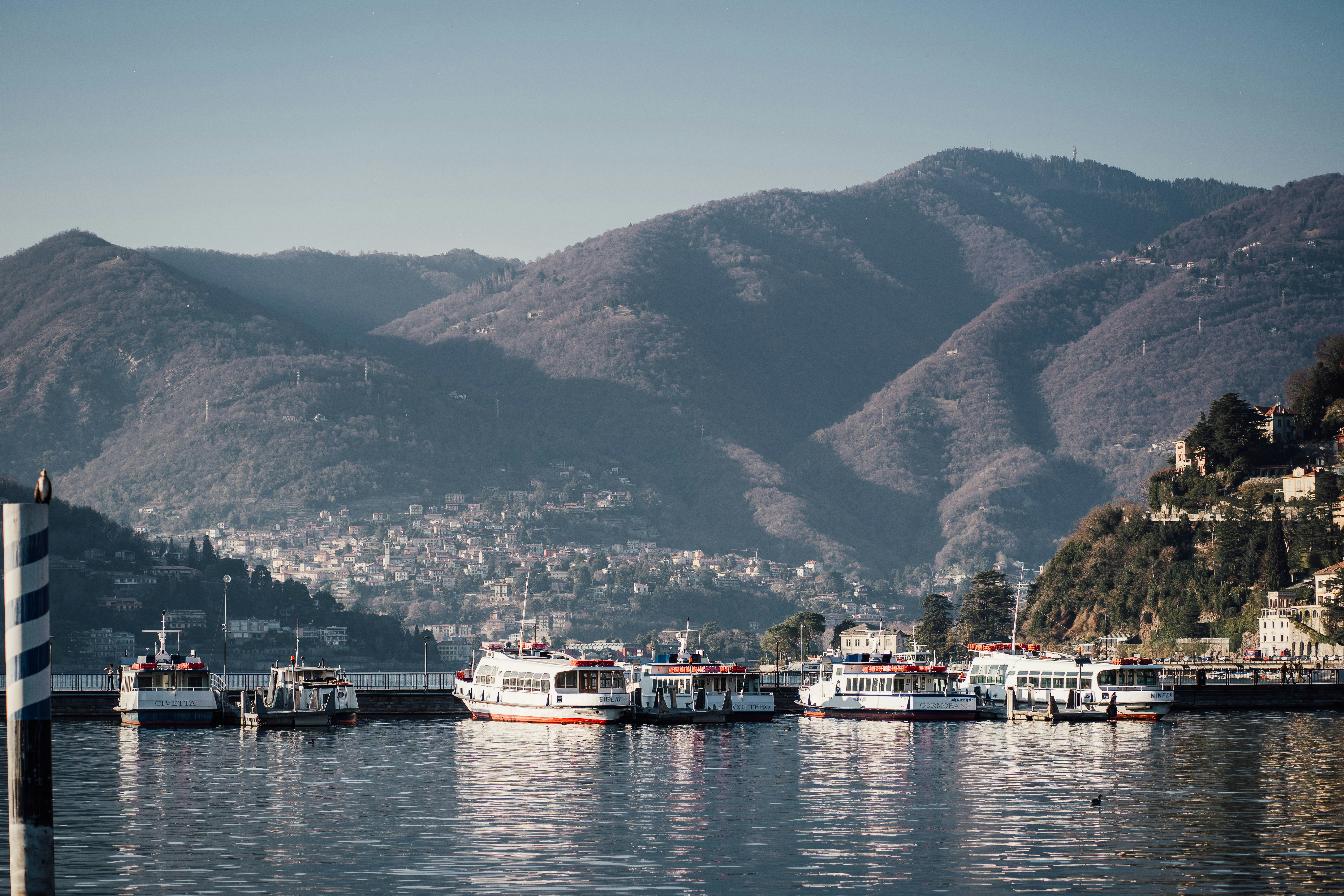 Photo by real_jansen