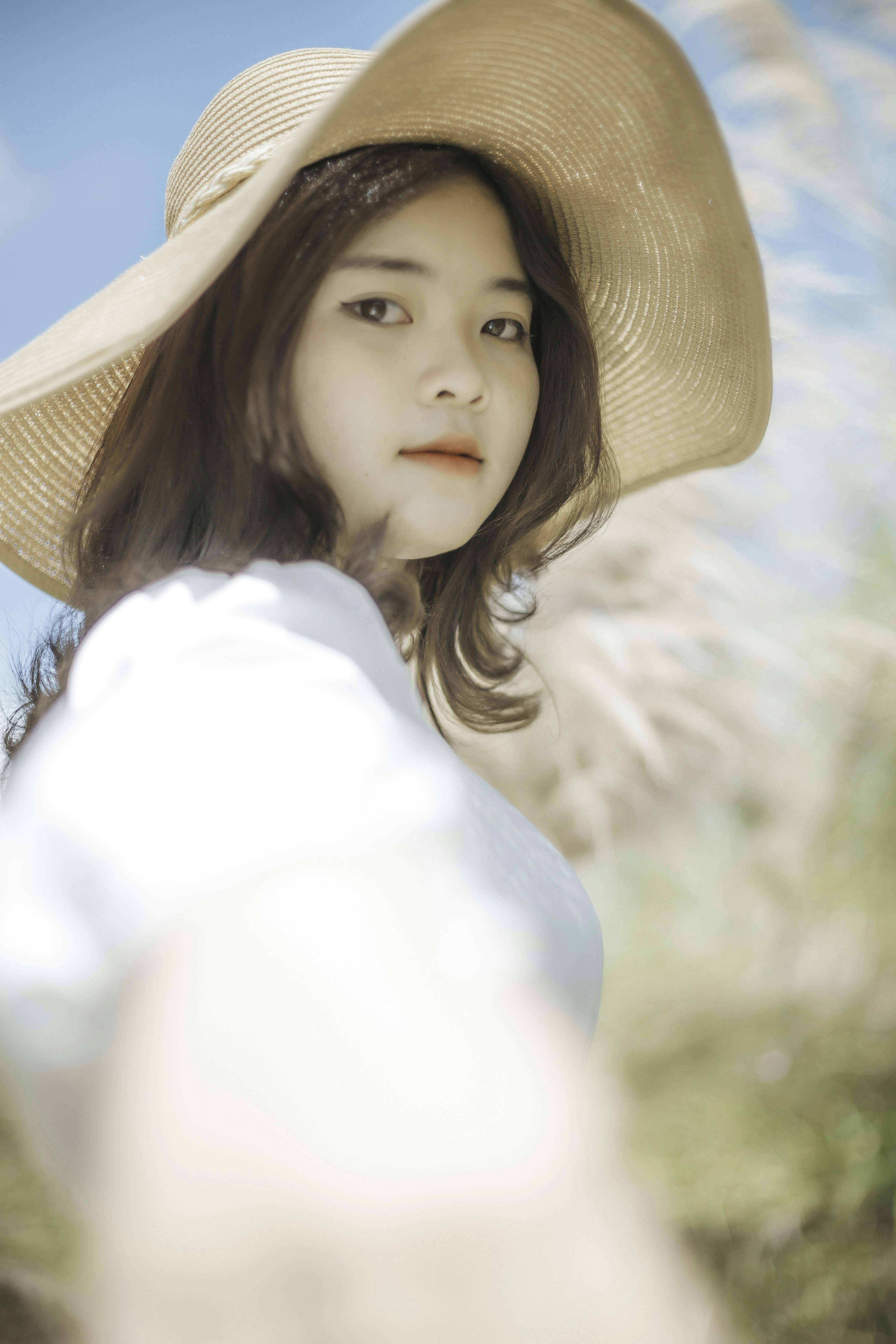 Photo by quangdieu195