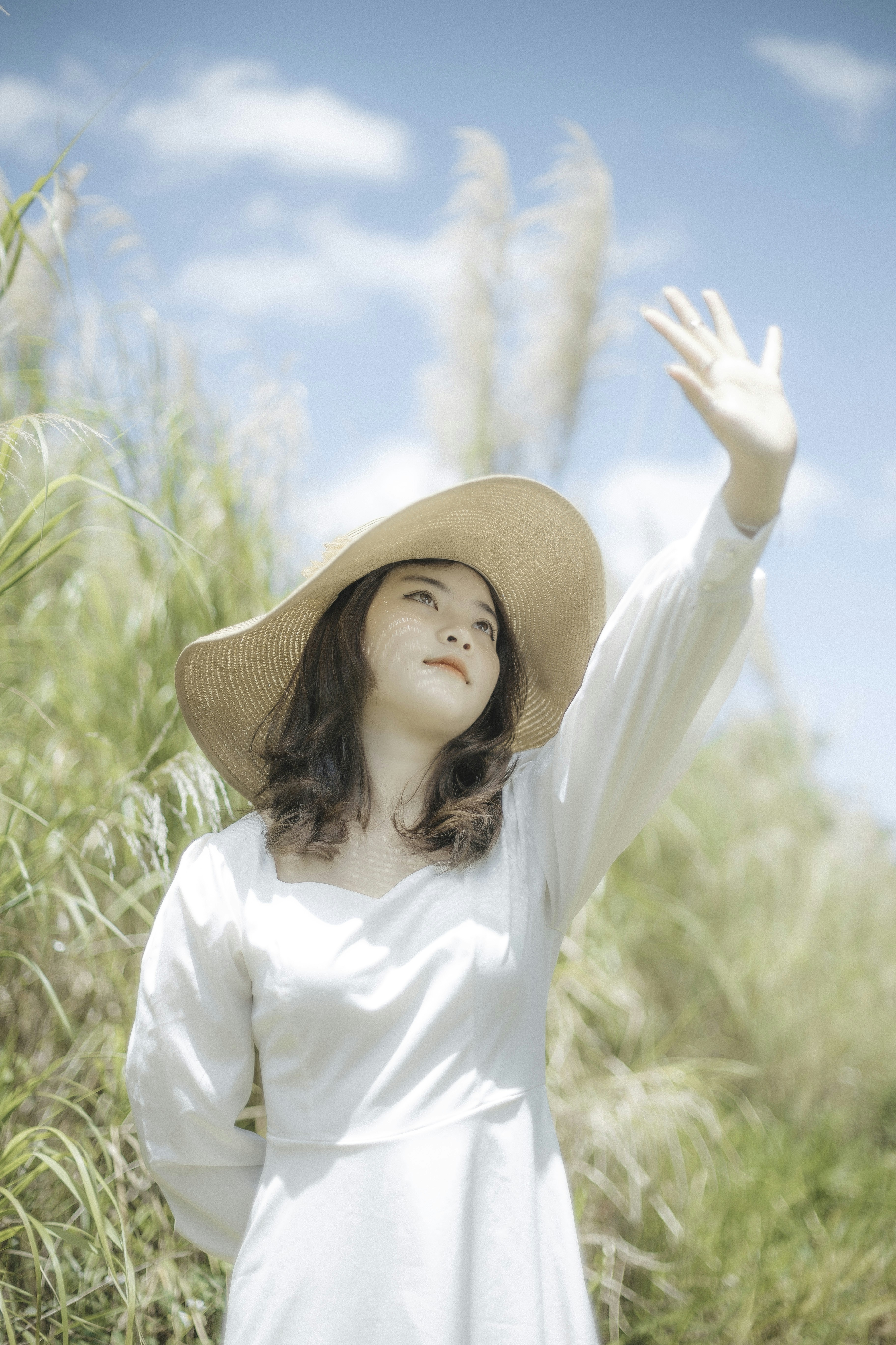 Photo by quangdieu195