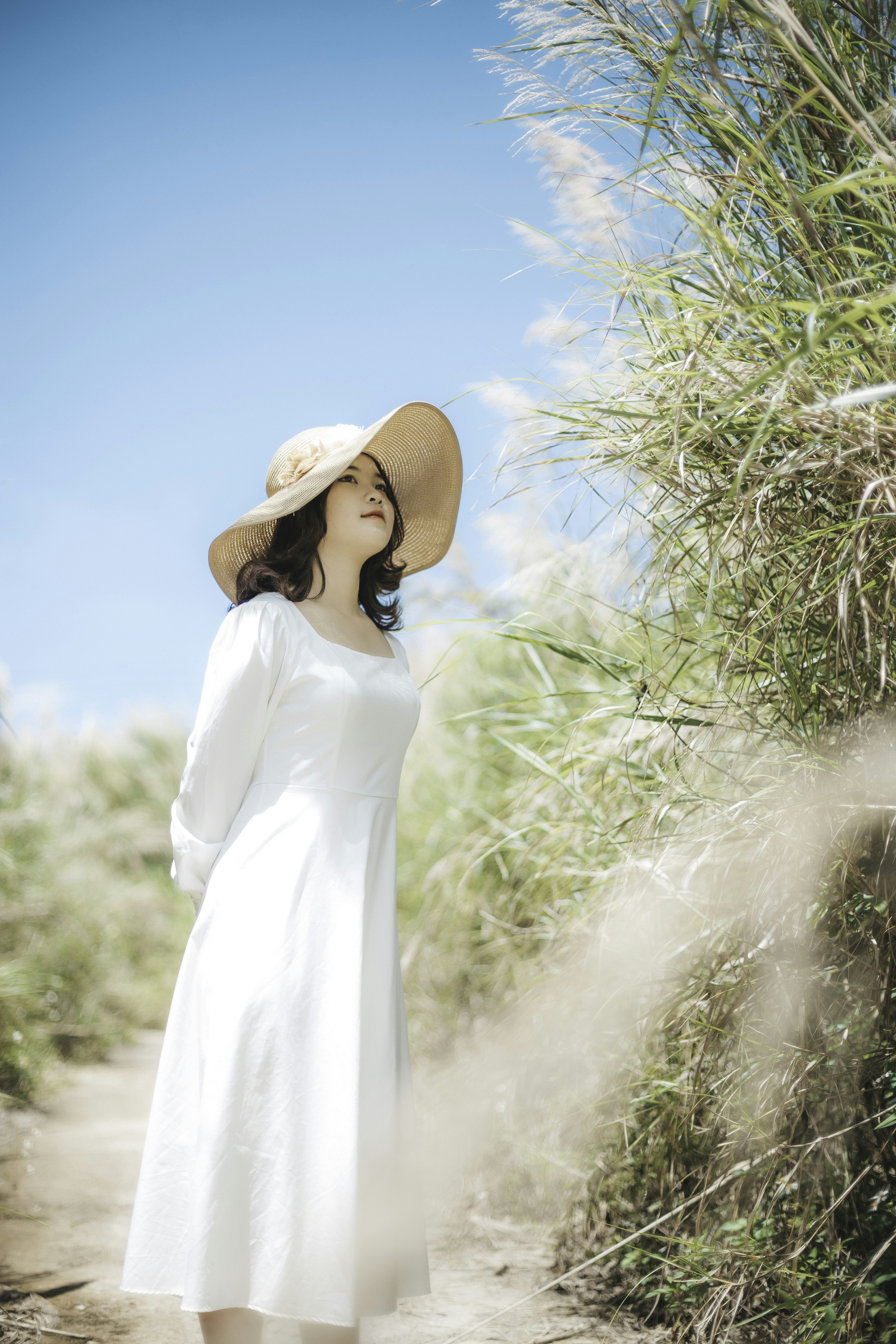 Photo by quangdieu195