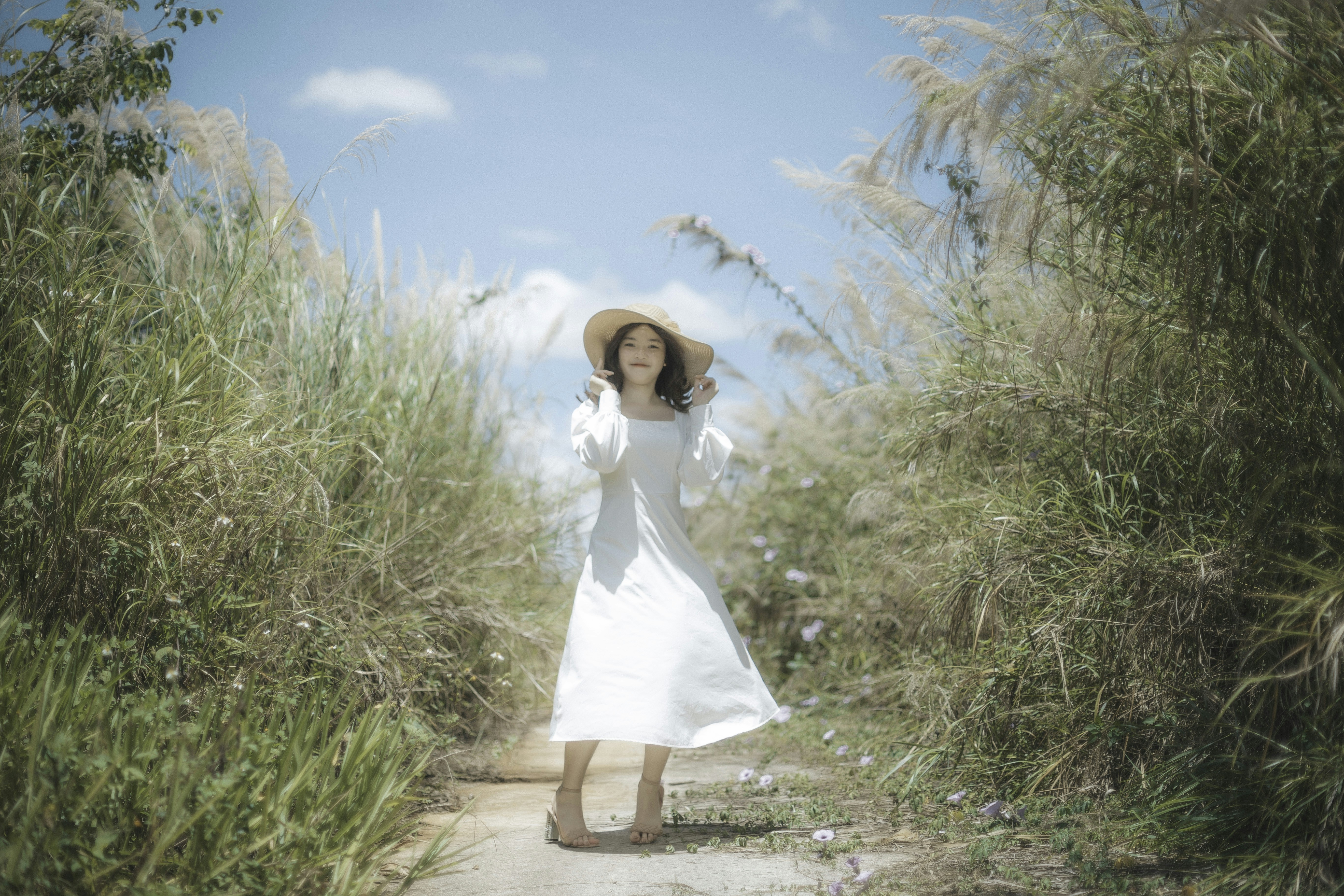 Photo by quangdieu195