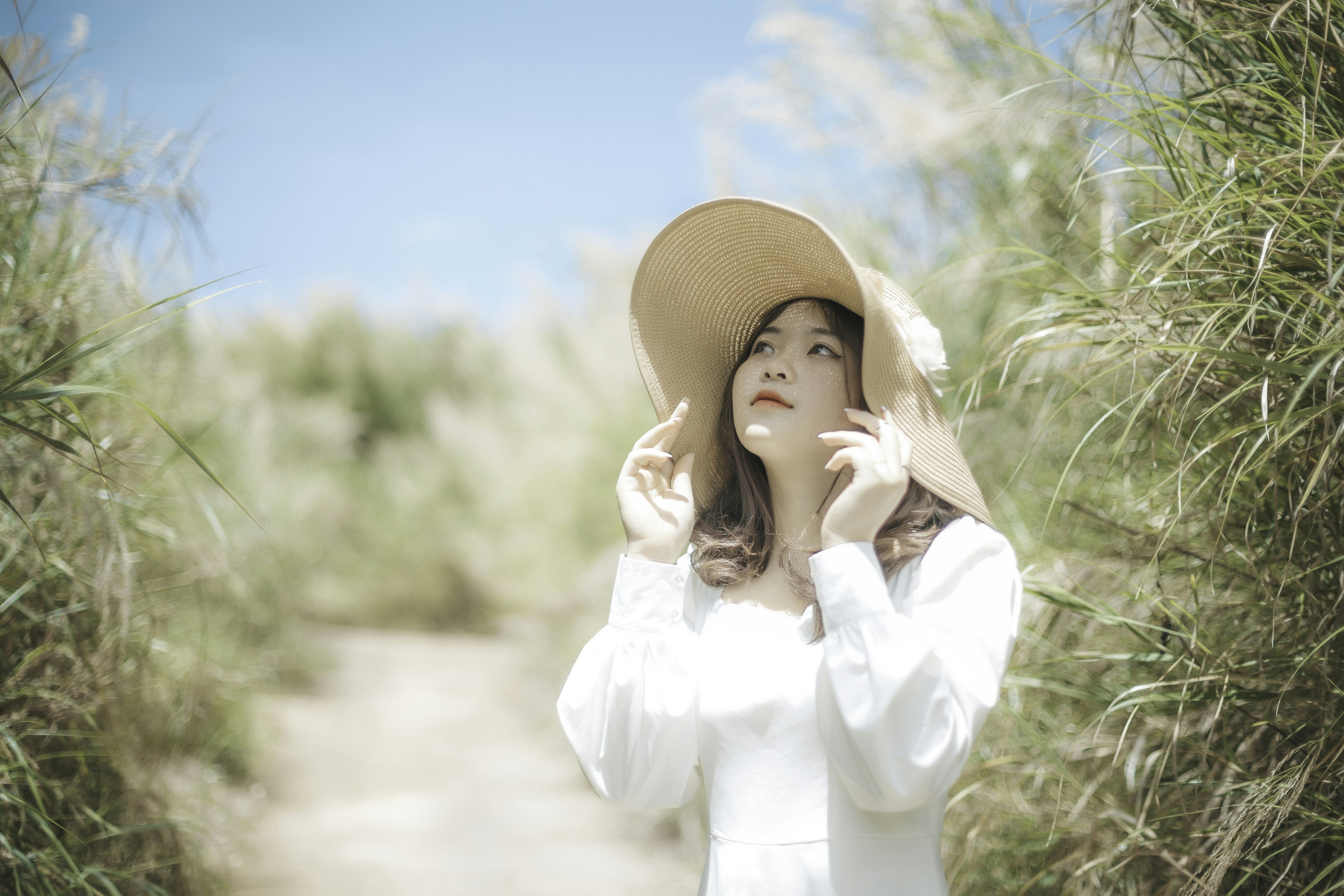 Photo by quangdieu195