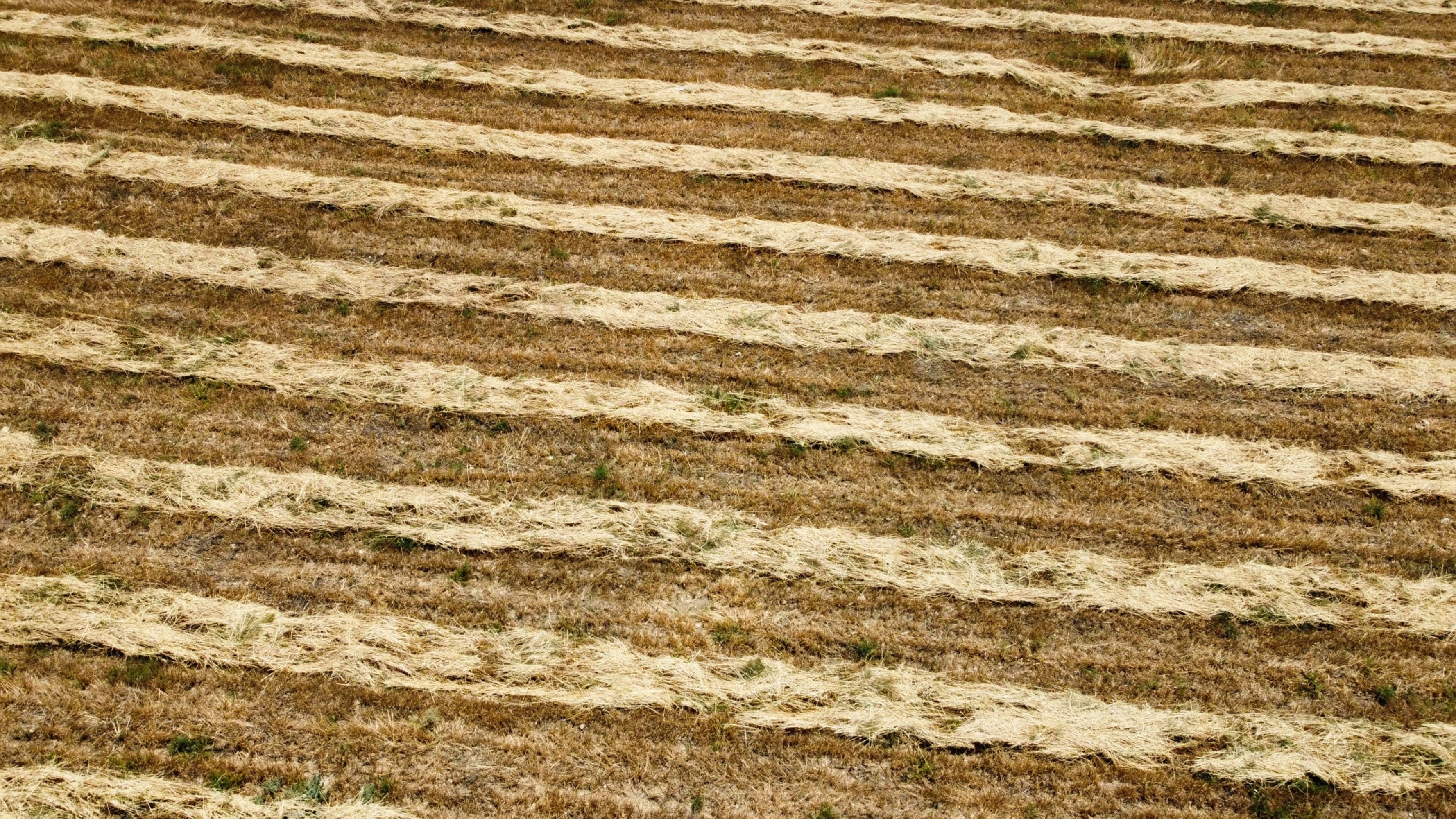 Photo by katerina11bus