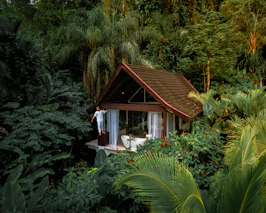 a small house in the middle of a jungle