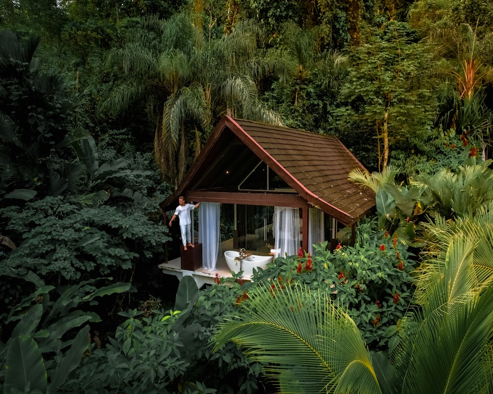 A Small House In The Middle Of A Jungle Photo – Free Housing Image On  Unsplash