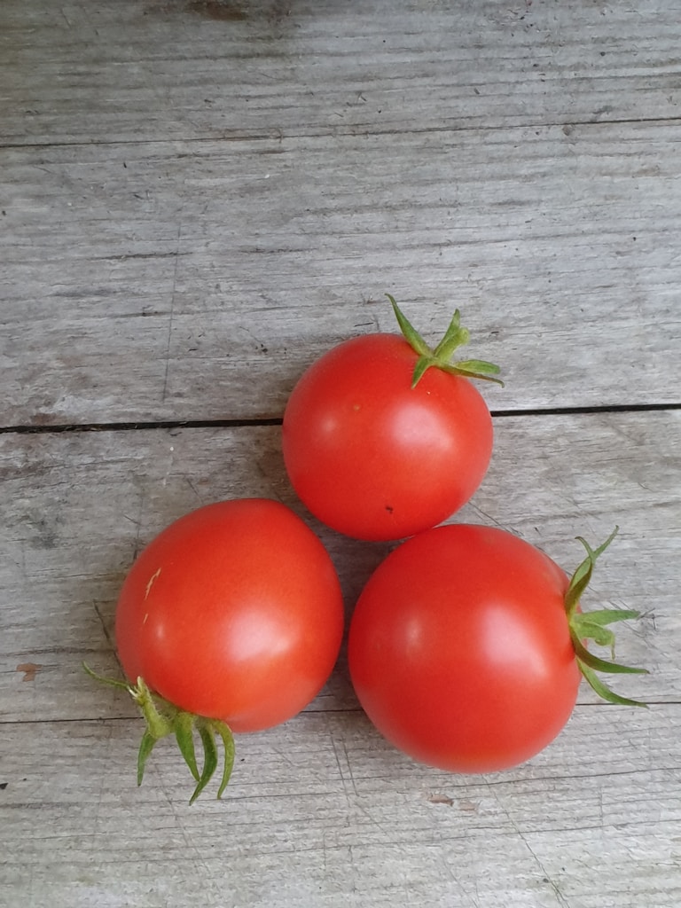 Ripe Garden Tomatoes