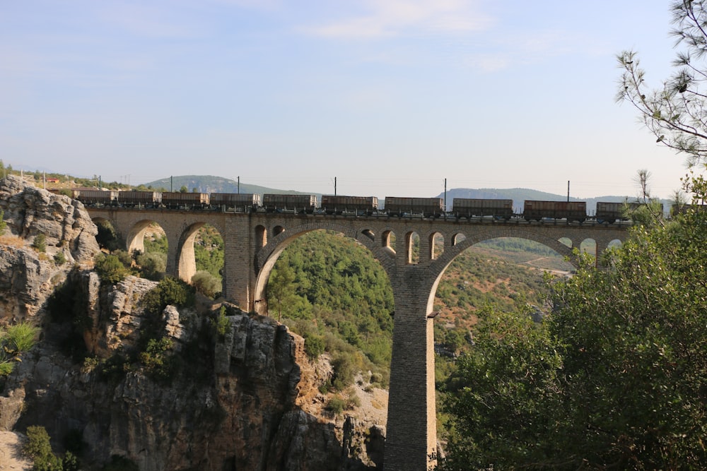 a train crossing a bridge over a canyon