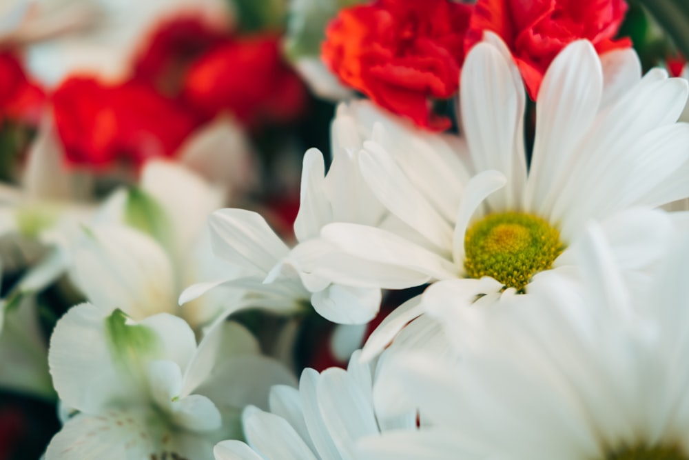 a bunch of white and red flowers in a vase