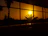 Wall-mounted canvas showing a glowing sunset behind silhouetted palm trees.