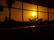 Wall-mounted canvas showing a glowing sunset behind silhouetted palm trees.