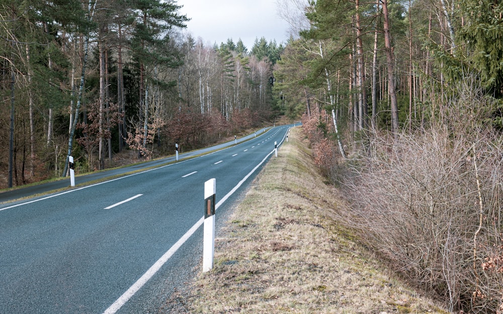 a road in the middle of a wooded area