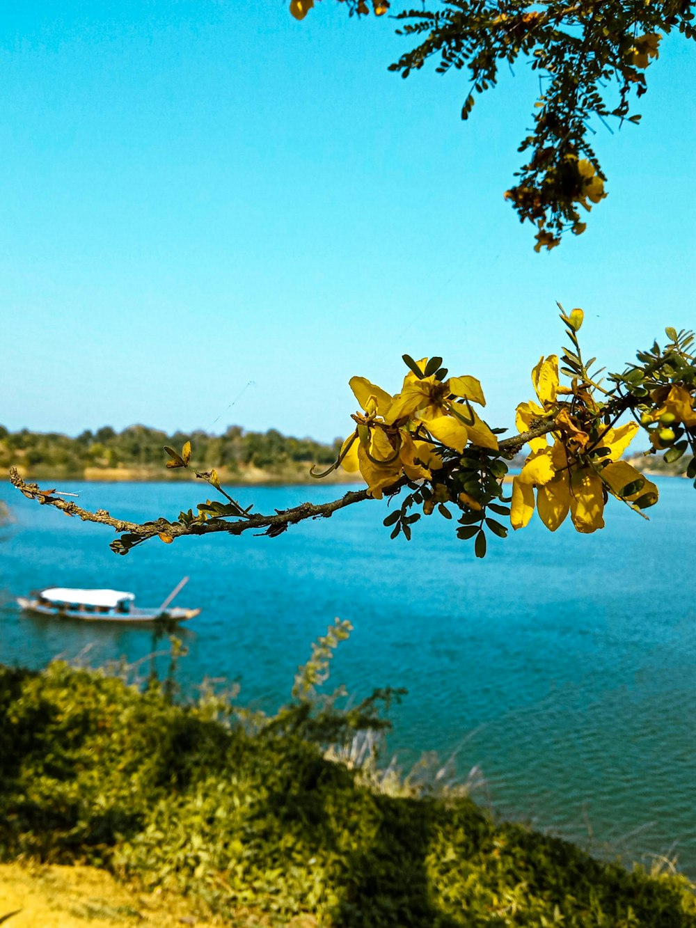 a body of water with a boat in the distance