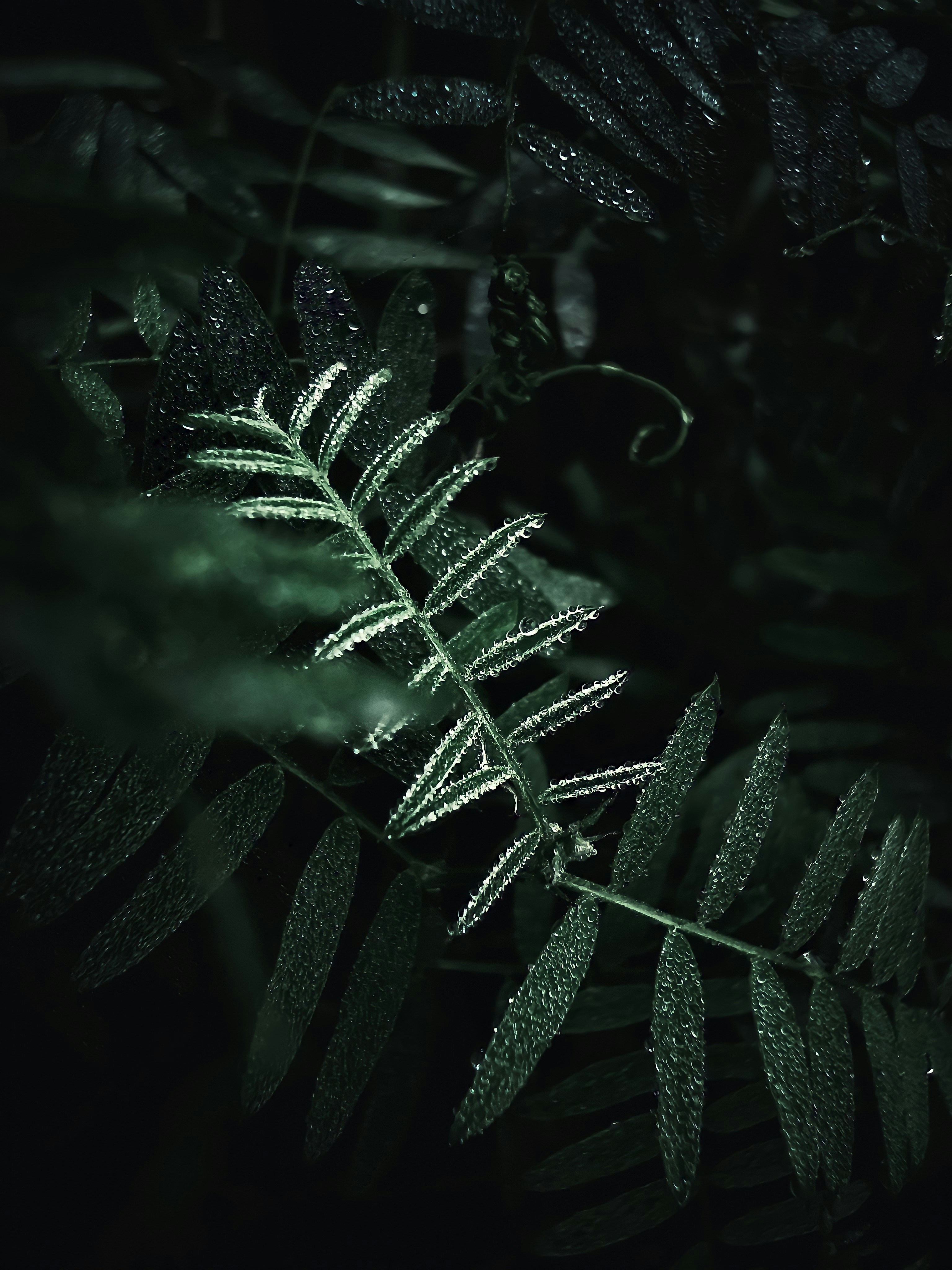 Photo by eugene_golovesov