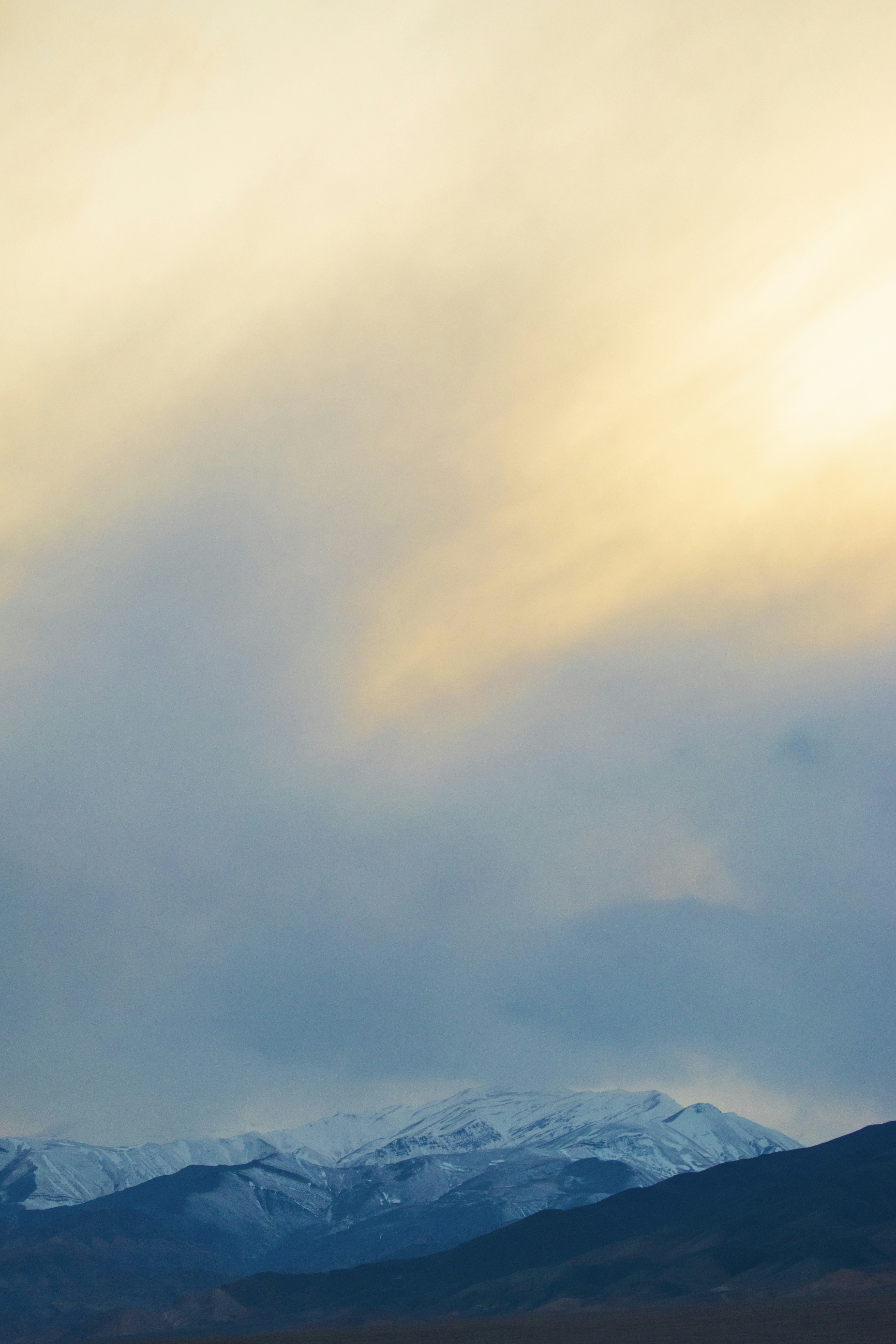 Photo by aliahmadidesign