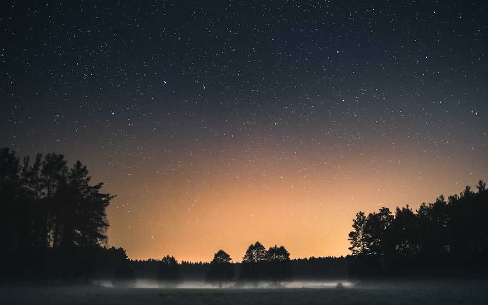 the night sky with stars and trees in the foreground