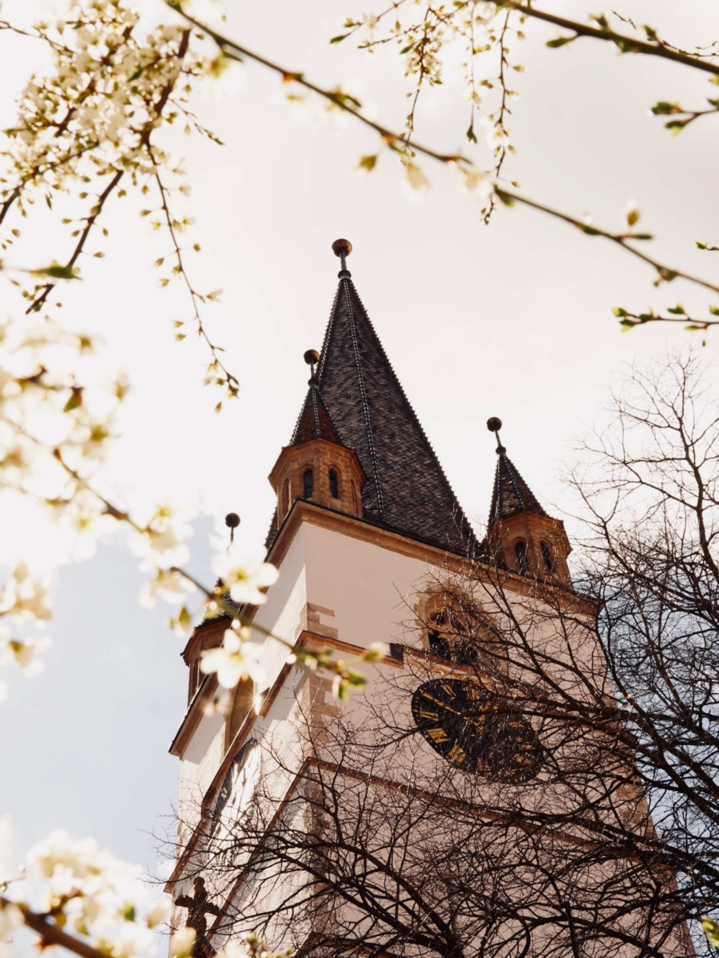 Photo by cdsaunders04