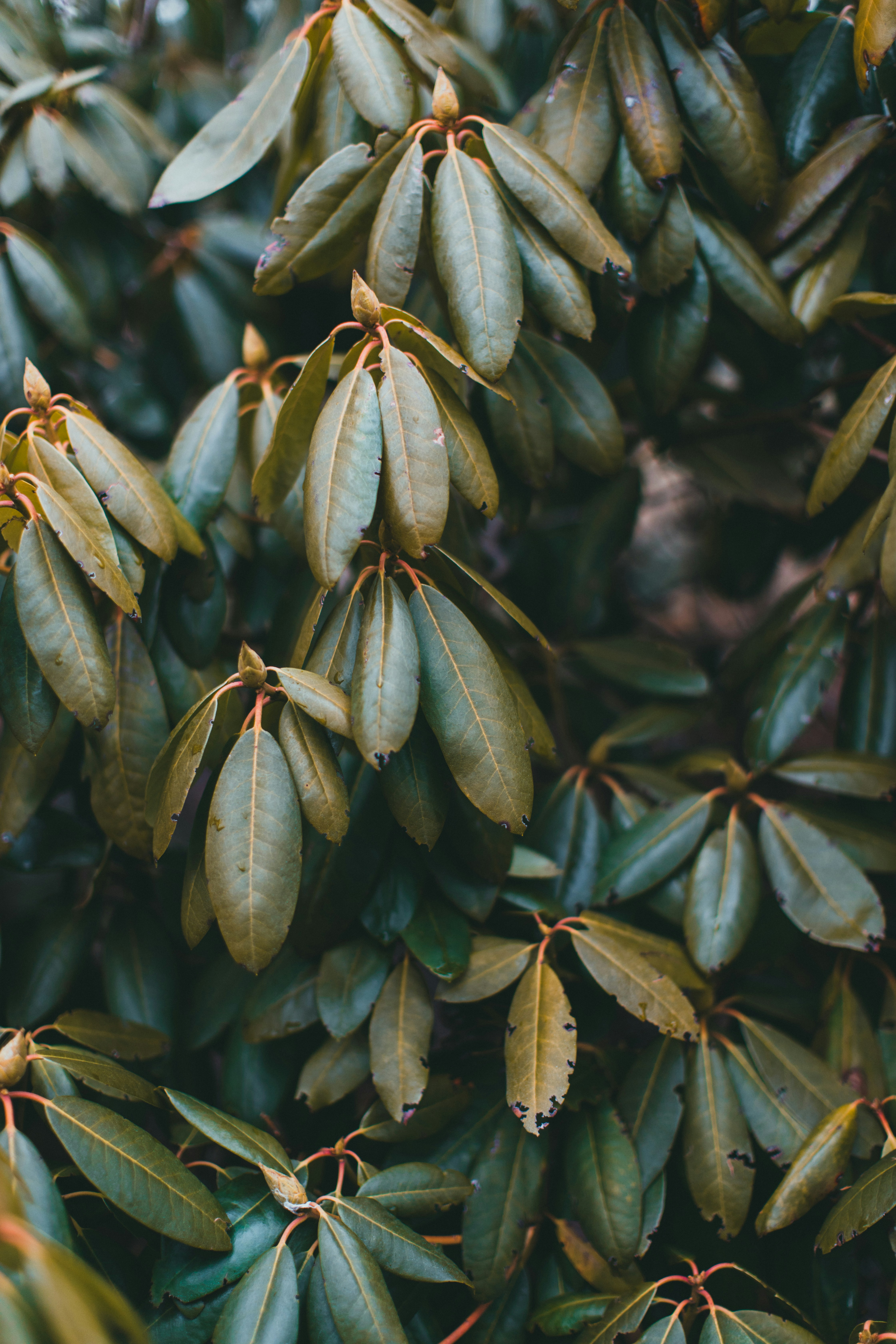 Photo by theshuttervision