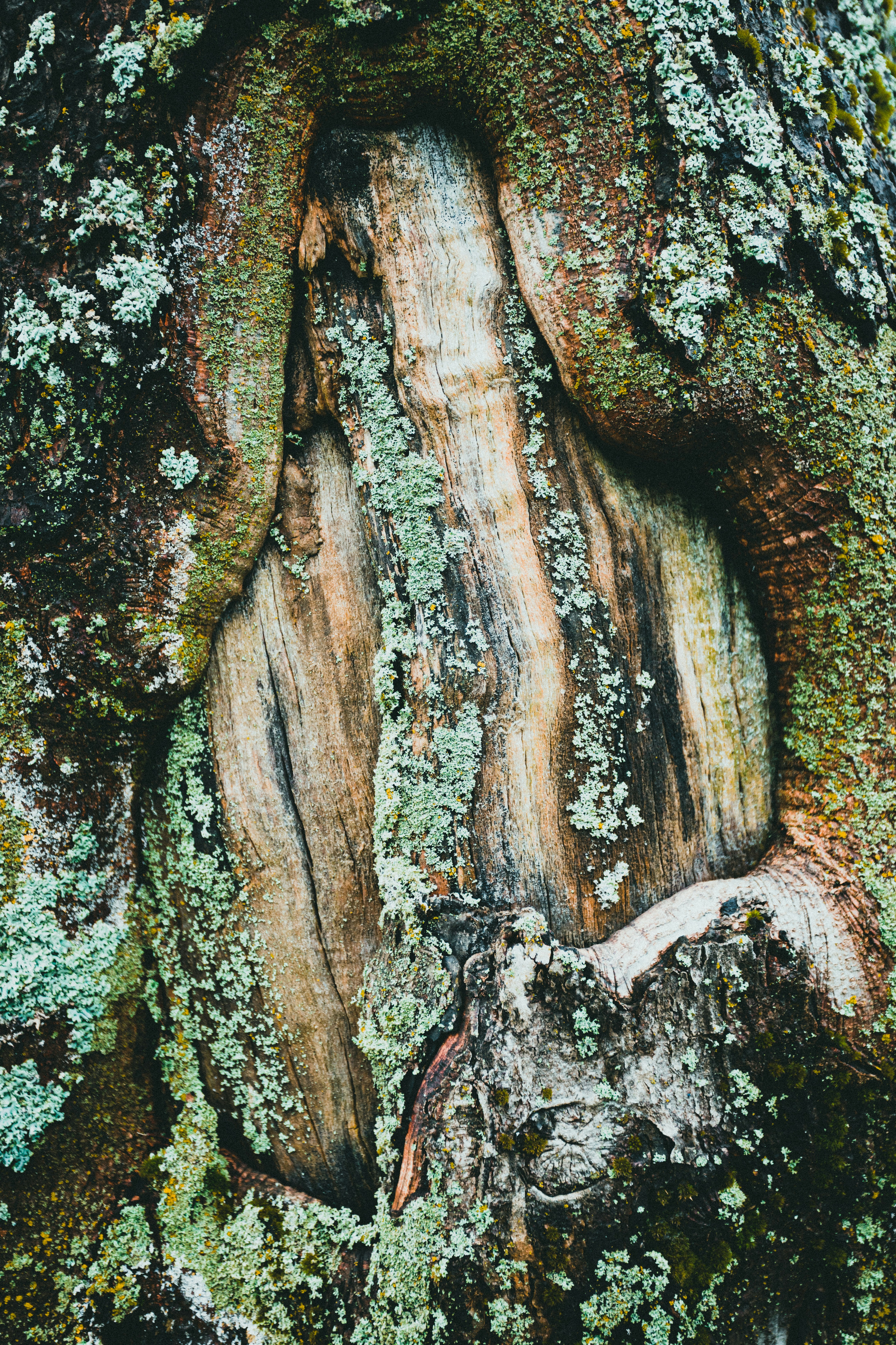 Photo by theshuttervision