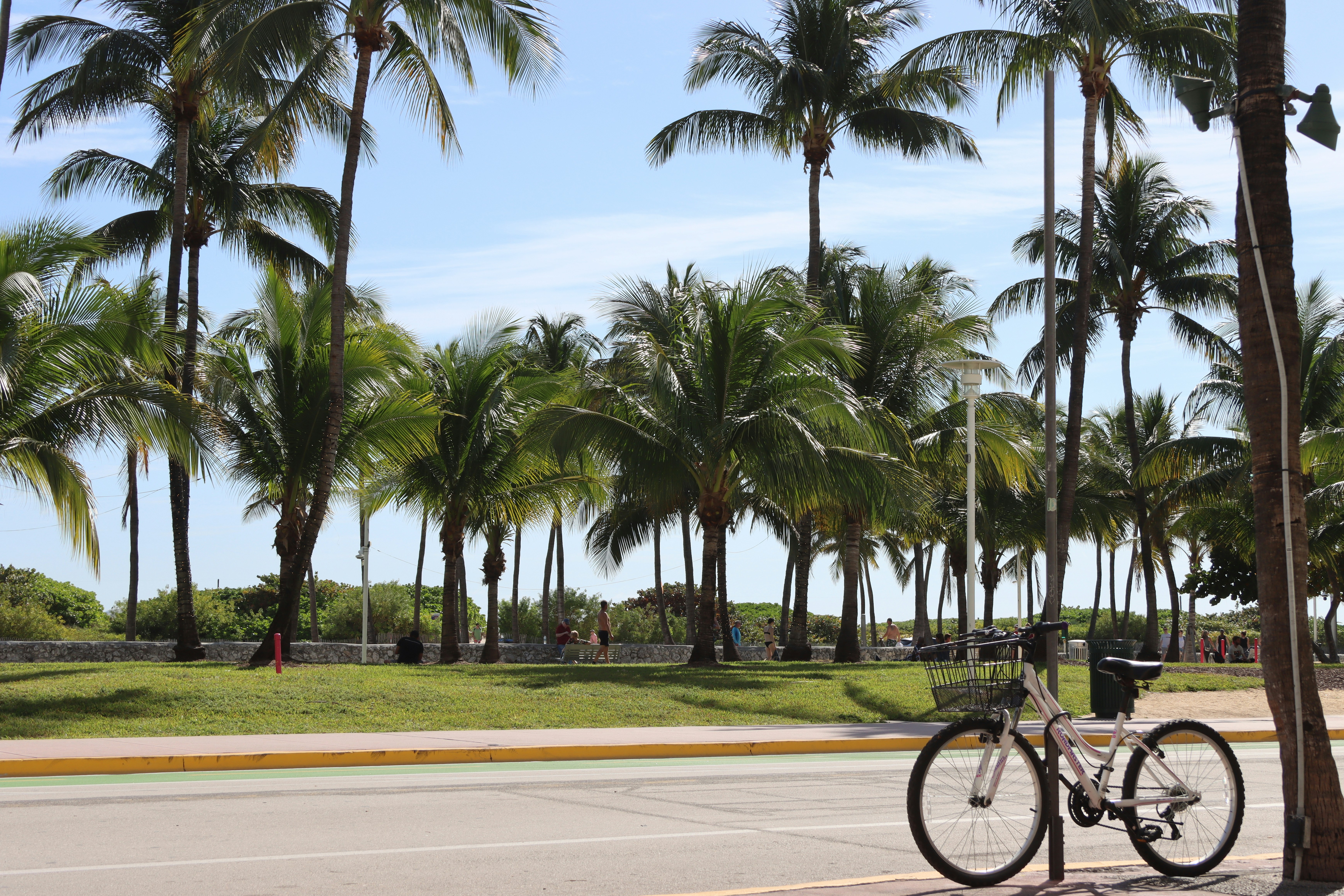 Banyan Drive Park
