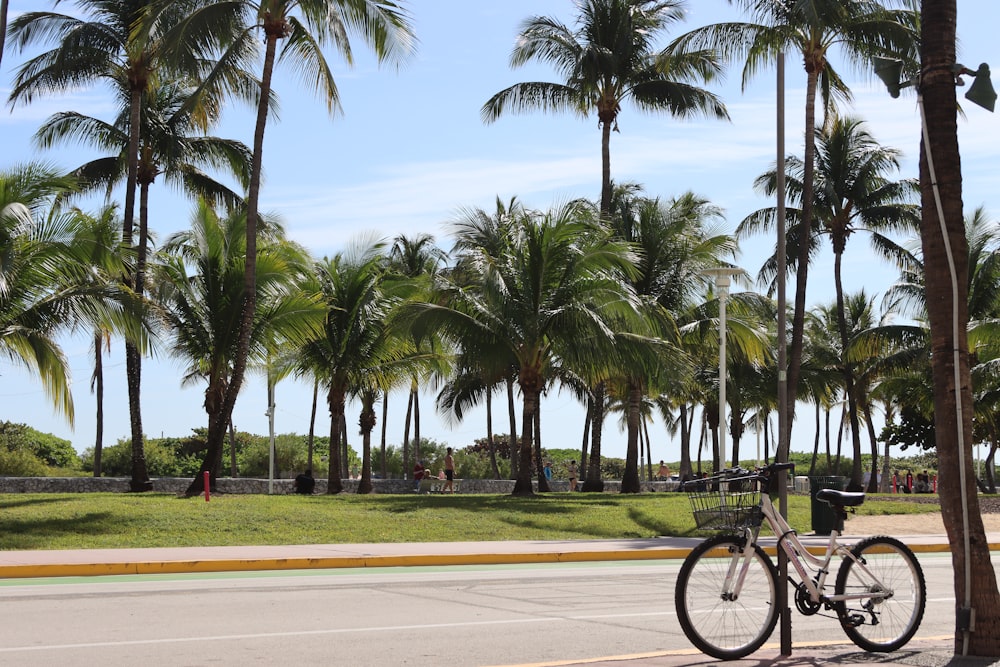 a bike parked on the side of a road next to palm trees