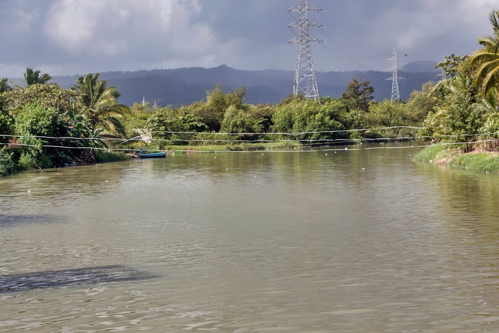 a body of water surrounded by trees and power lines