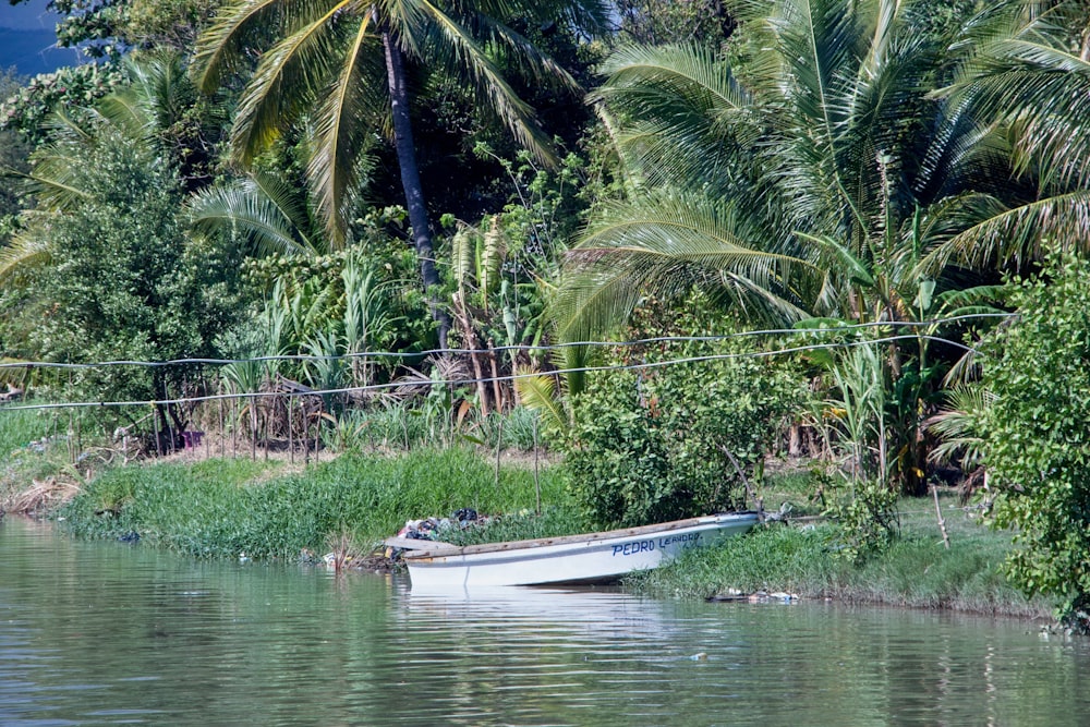 a small boat sitting on the side of a river