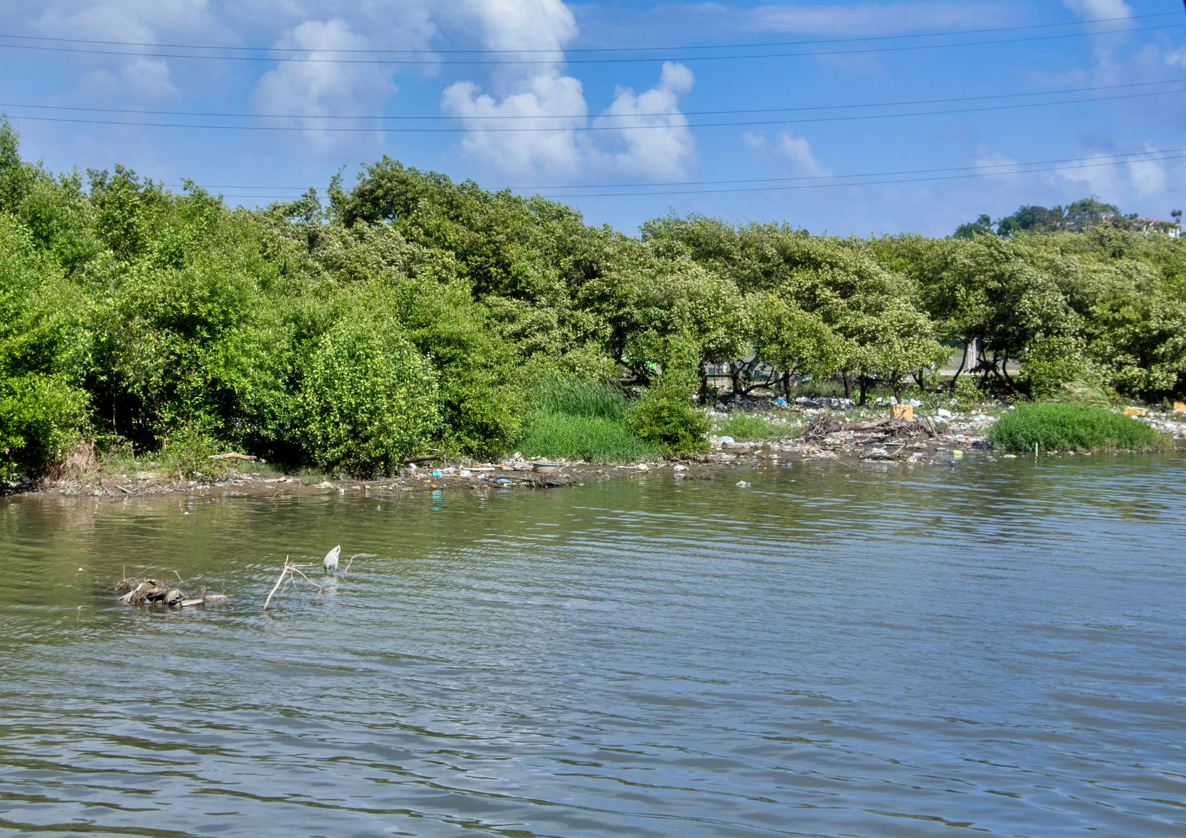 um corpo de água cercado por árvores e rochas