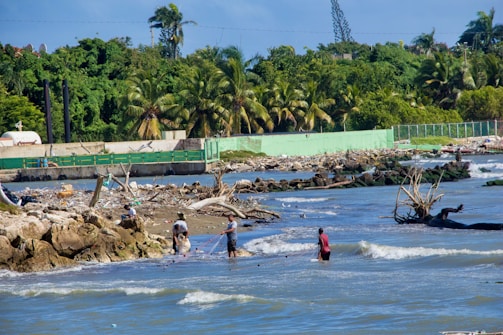 Several people are standing in shallow water near a shore, engaged in fishing or gathering activities using nets. The background features dense greenery, including palm trees, with a fence running parallel to the shoreline. There is debris and driftwood scattered along the rocky coast.