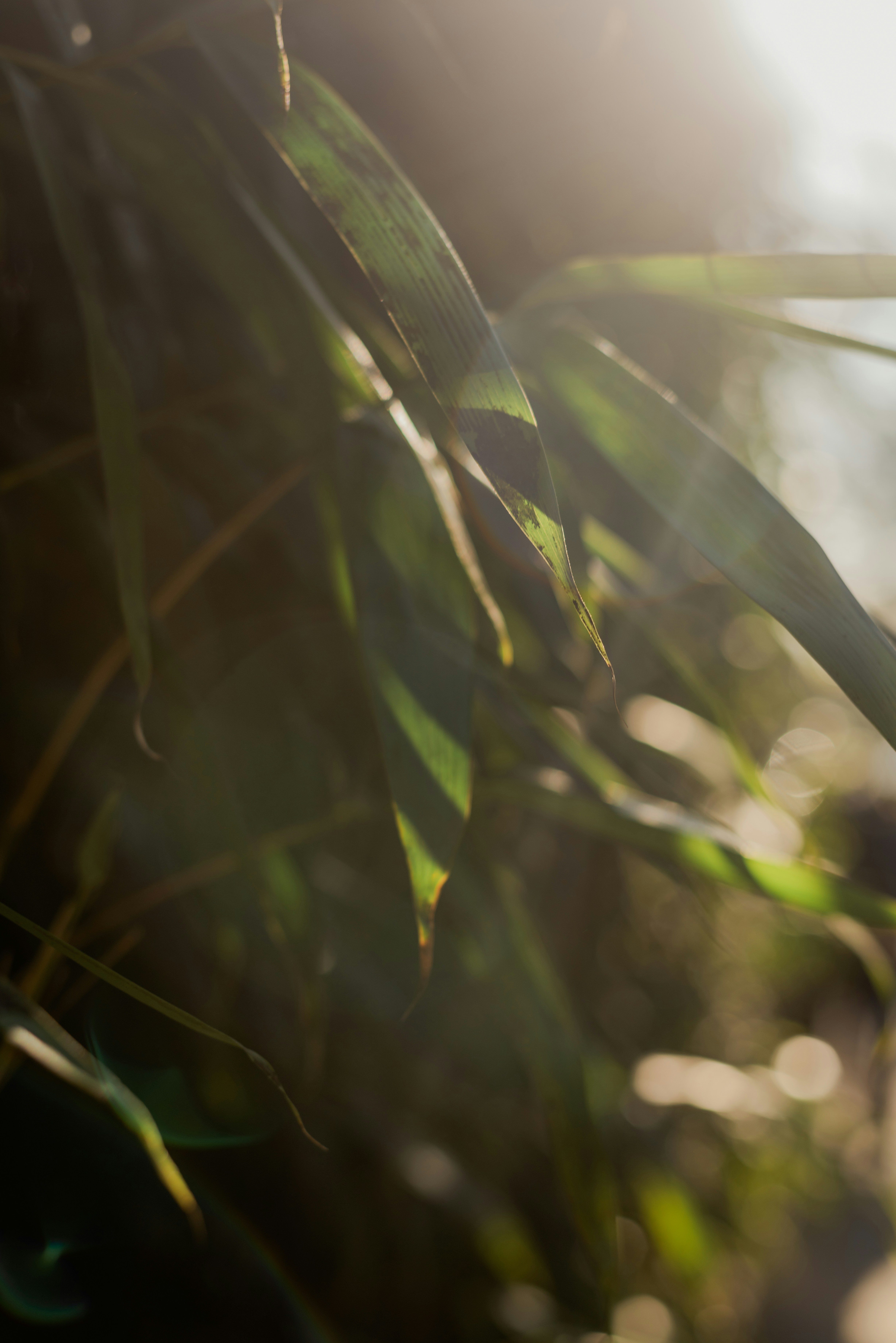 Photo by eugenivy_now