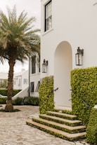 a white house with a palm tree in front of it