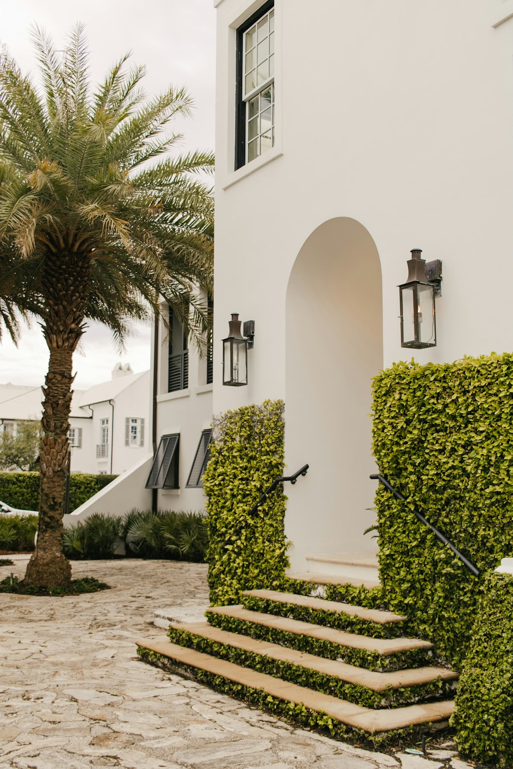 a white house with a palm tree in front of it