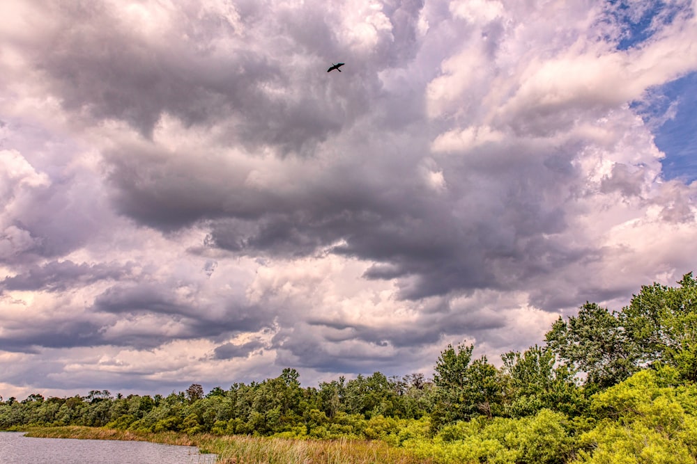 a bird flying over a body of water under a cloudy sky