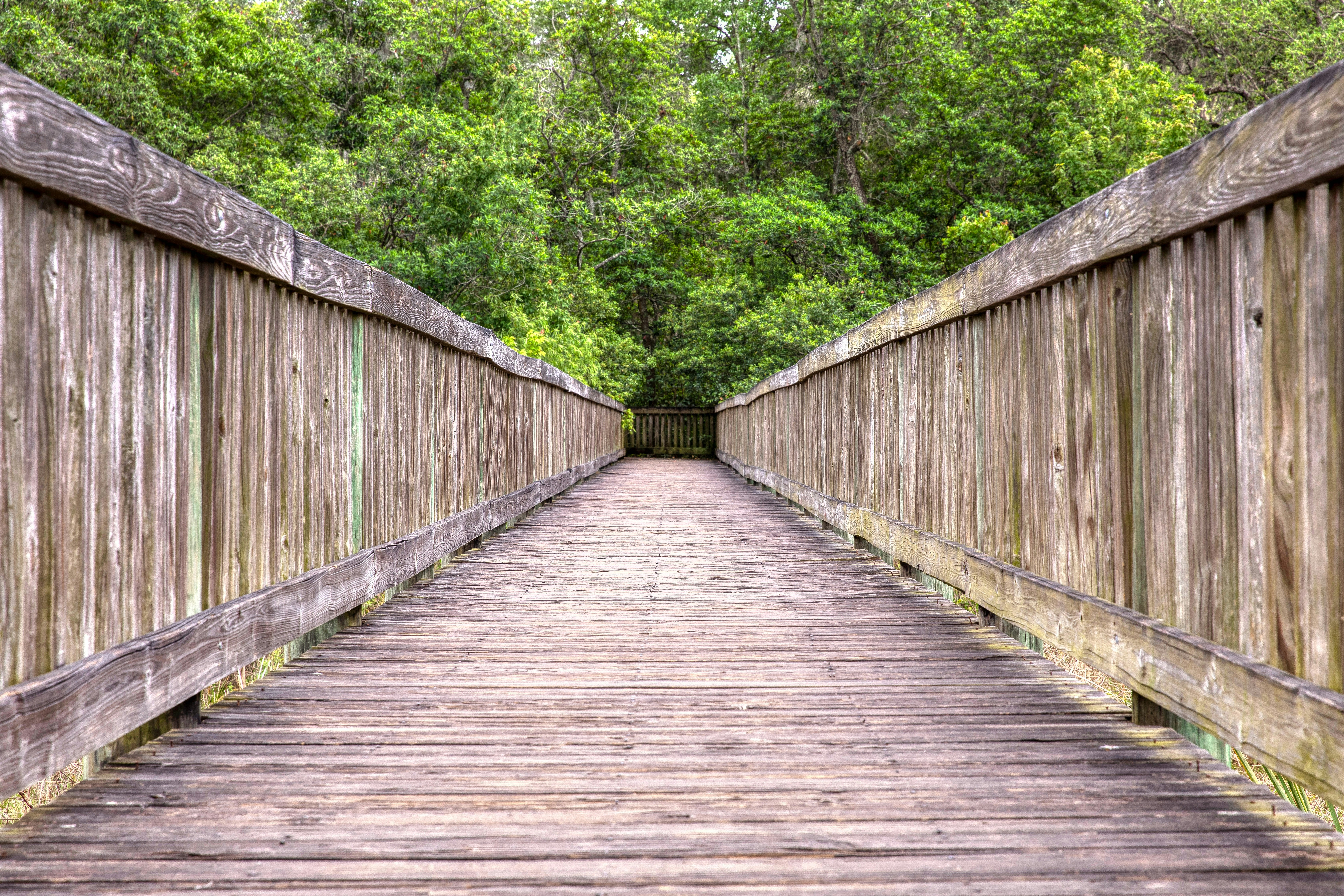a wooden bridge with trees in the background, Leading lines example.
