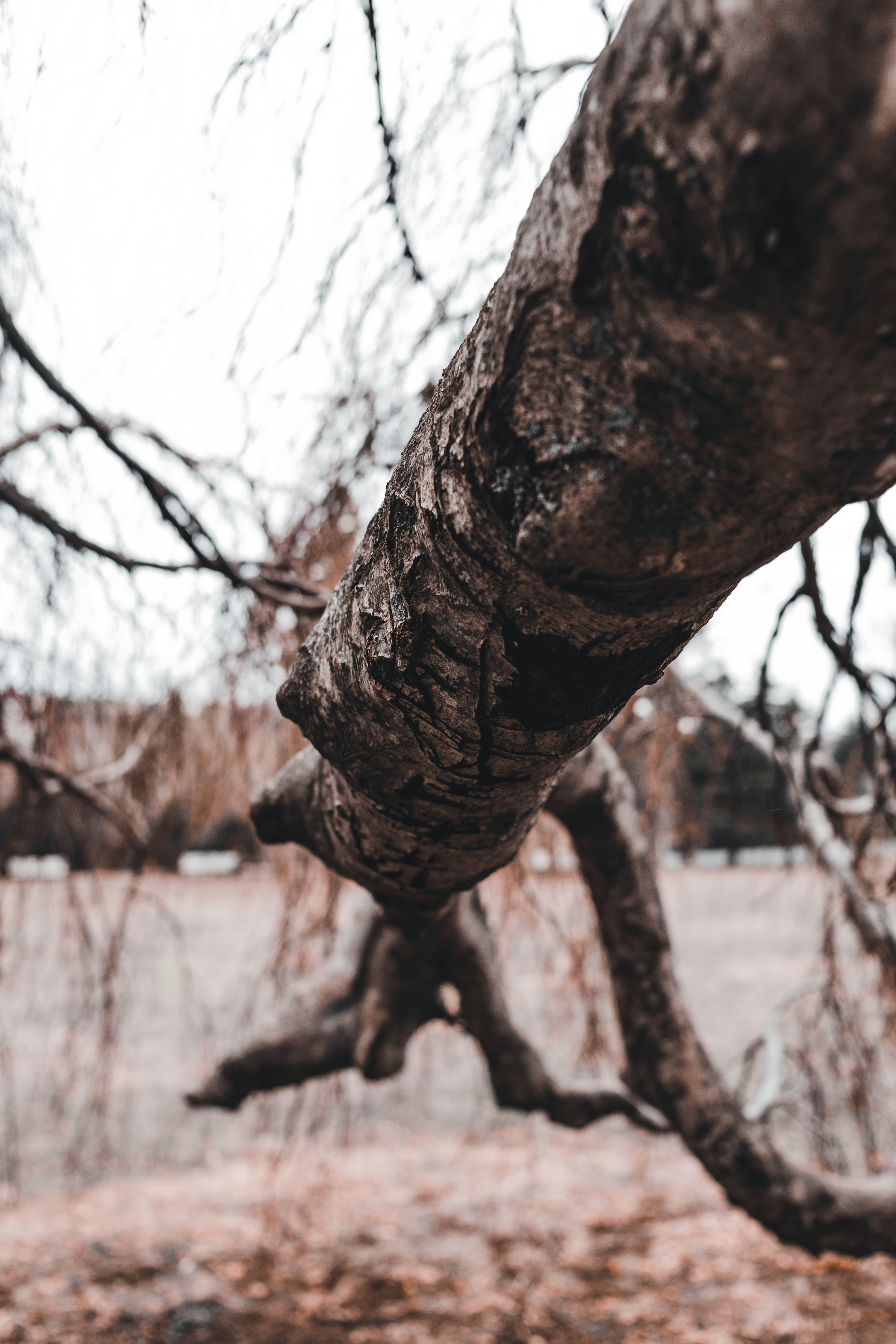 Photo by introspectivedsgn