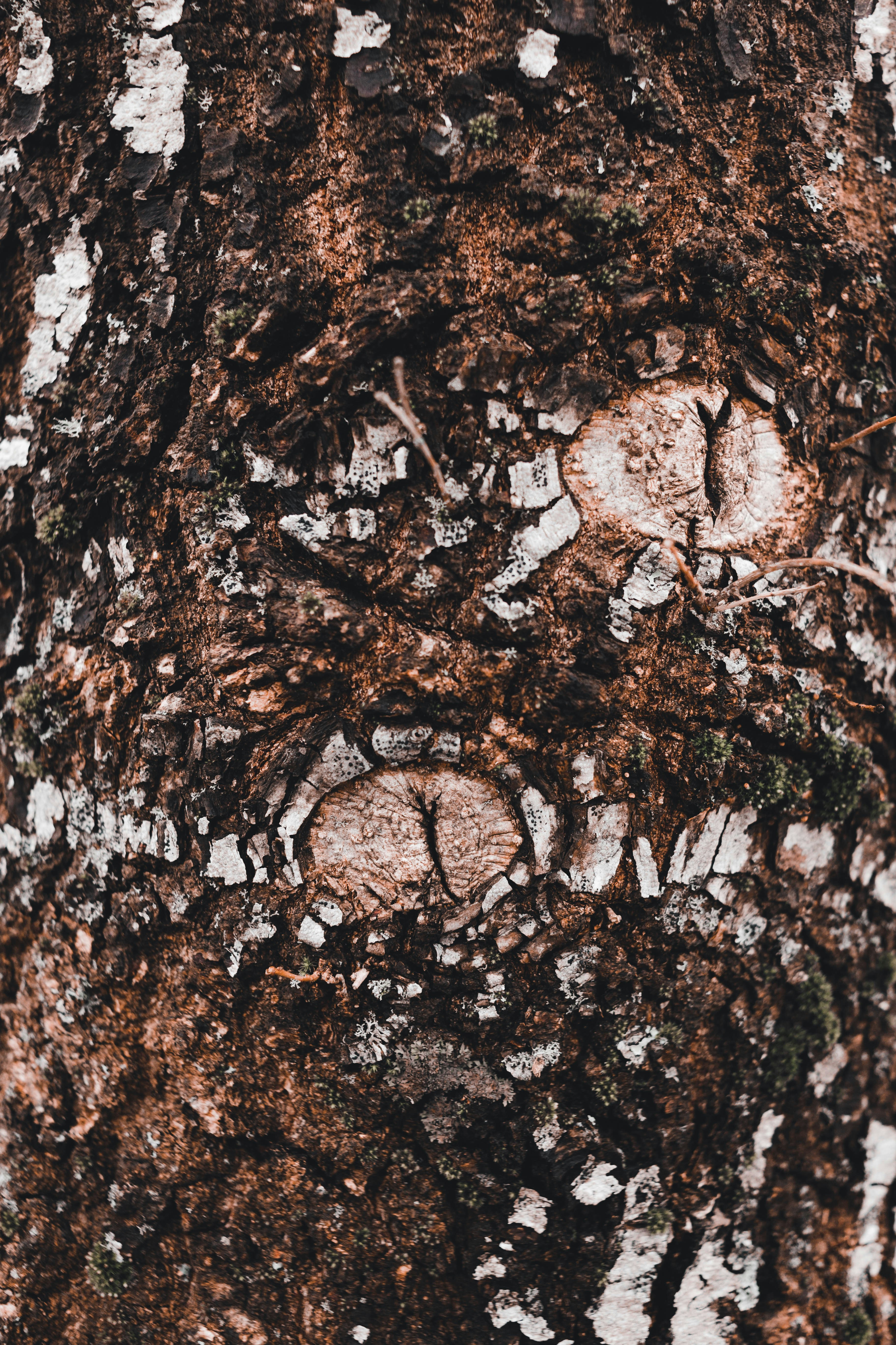 Photo by introspectivedsgn