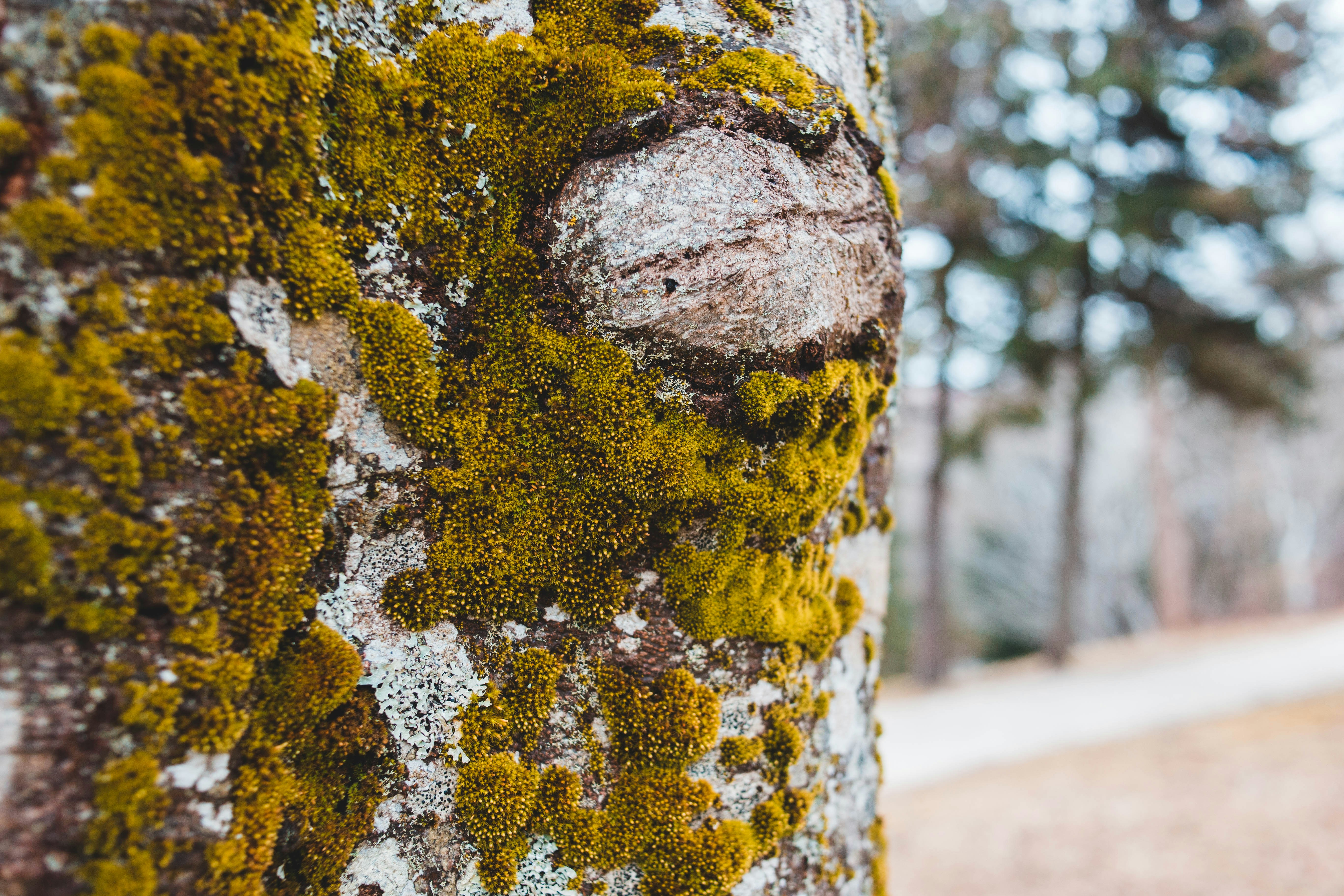 Photo by introspectivedsgn