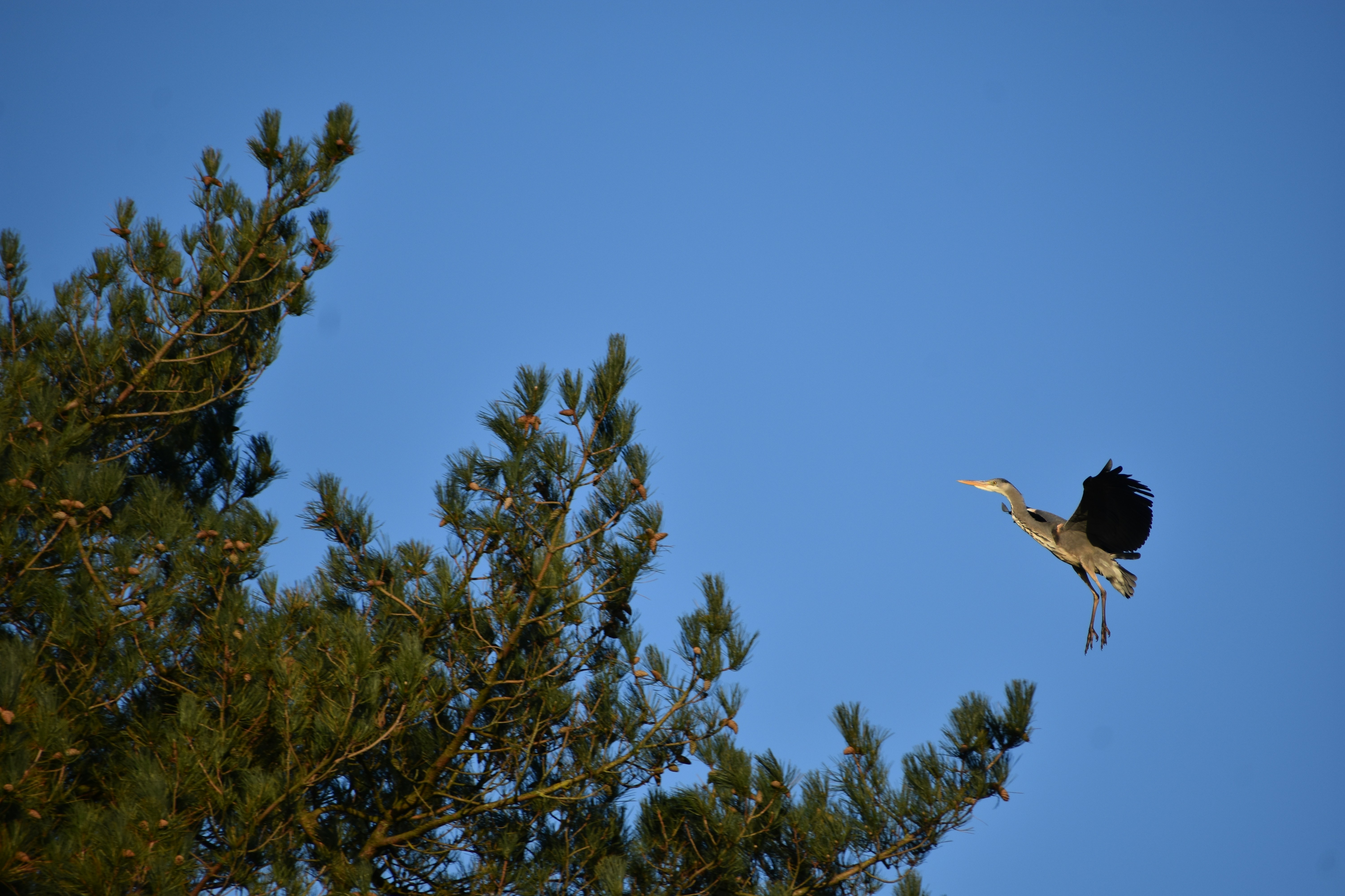 Photo by andrew_hall