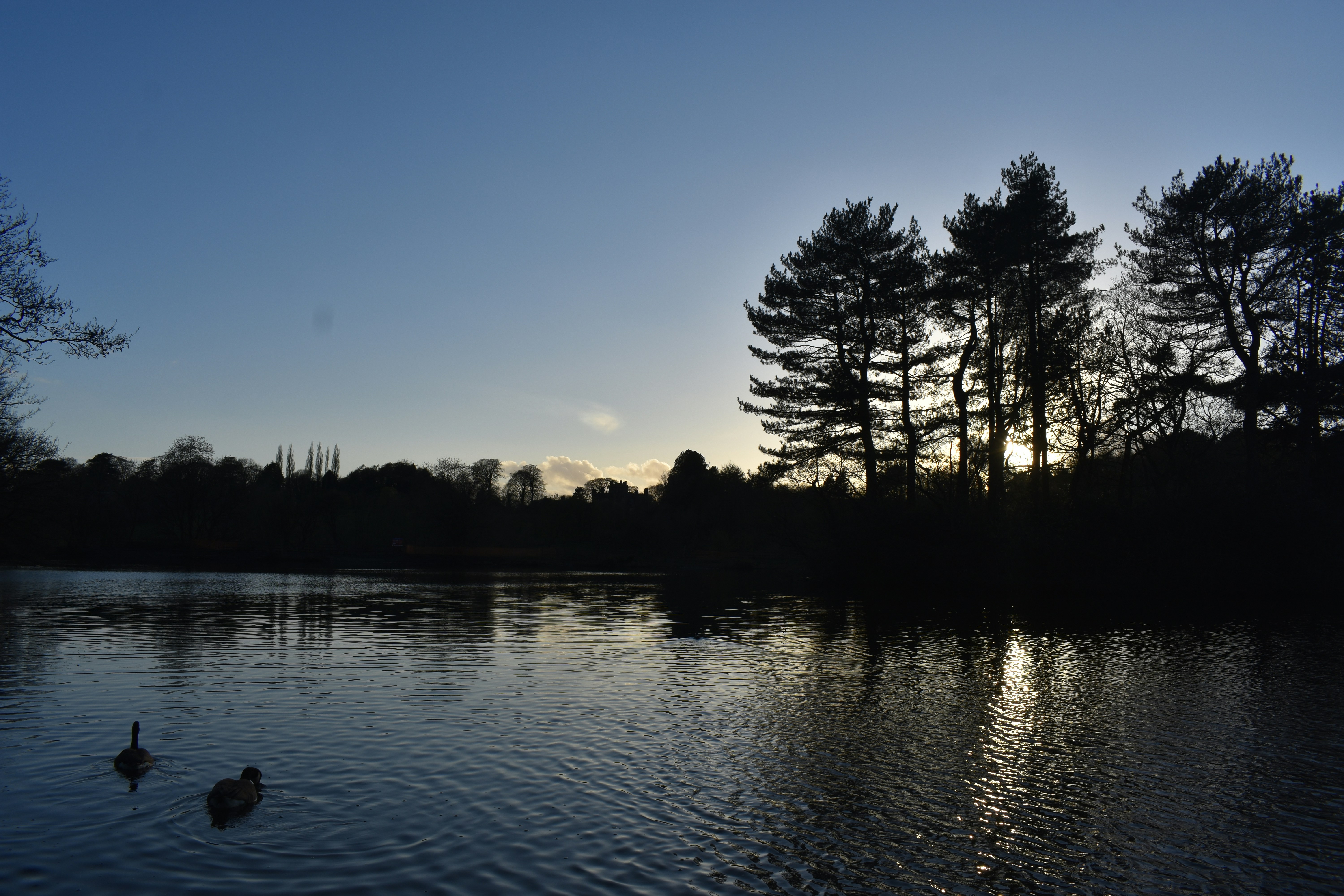 Photo by andrew_hall