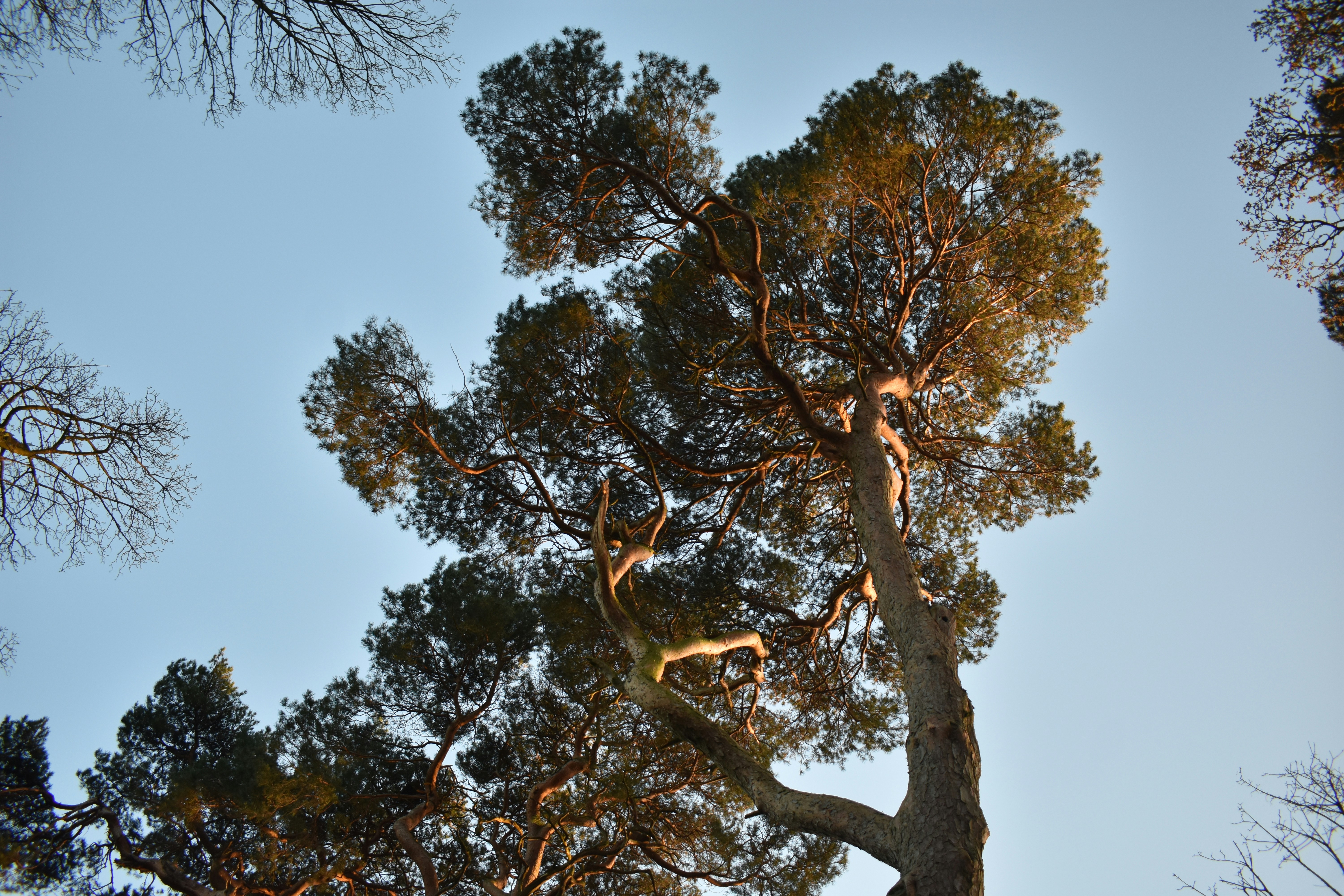 Photo by andrew_hall