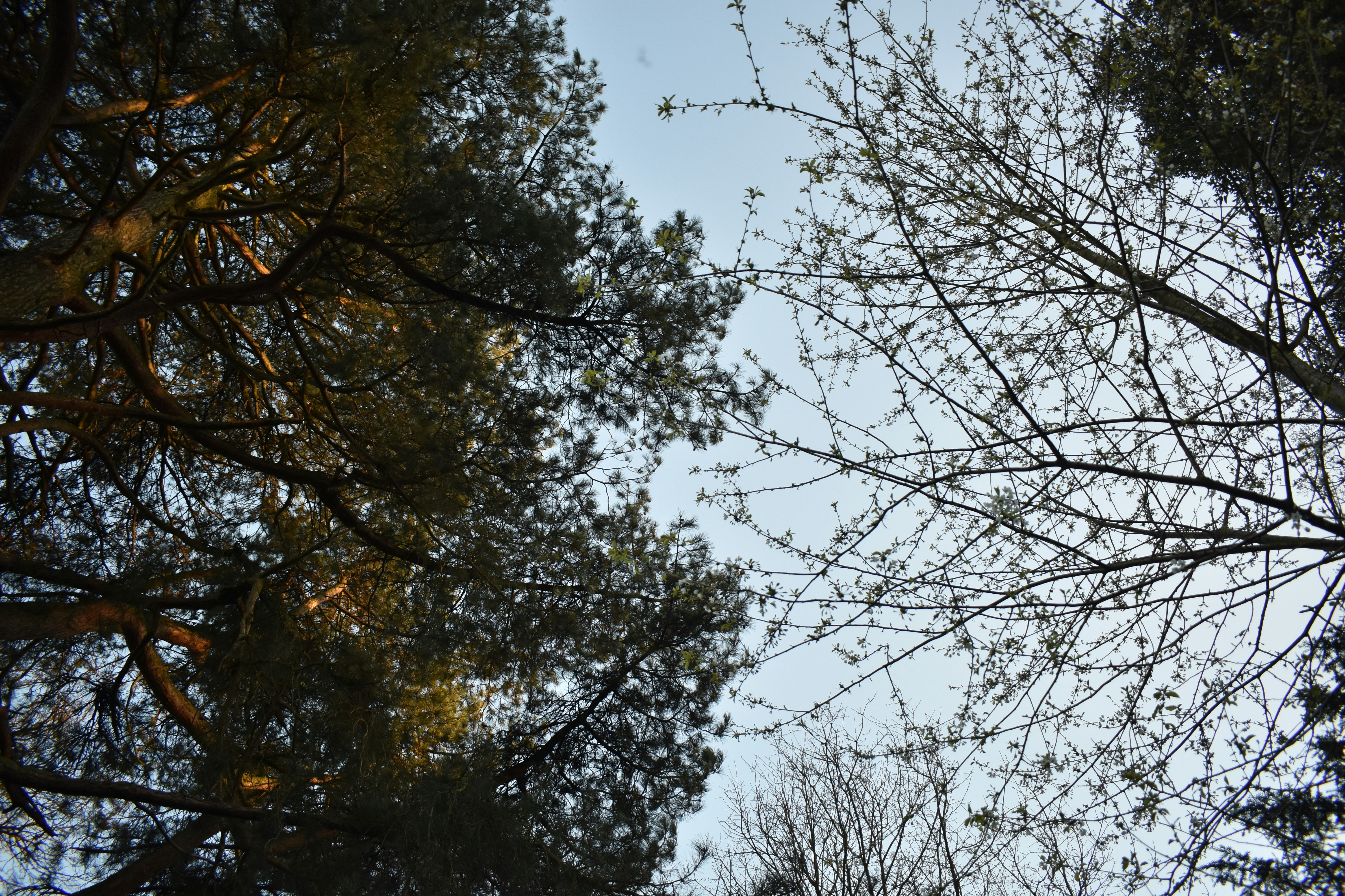 Photo by andrew_hall