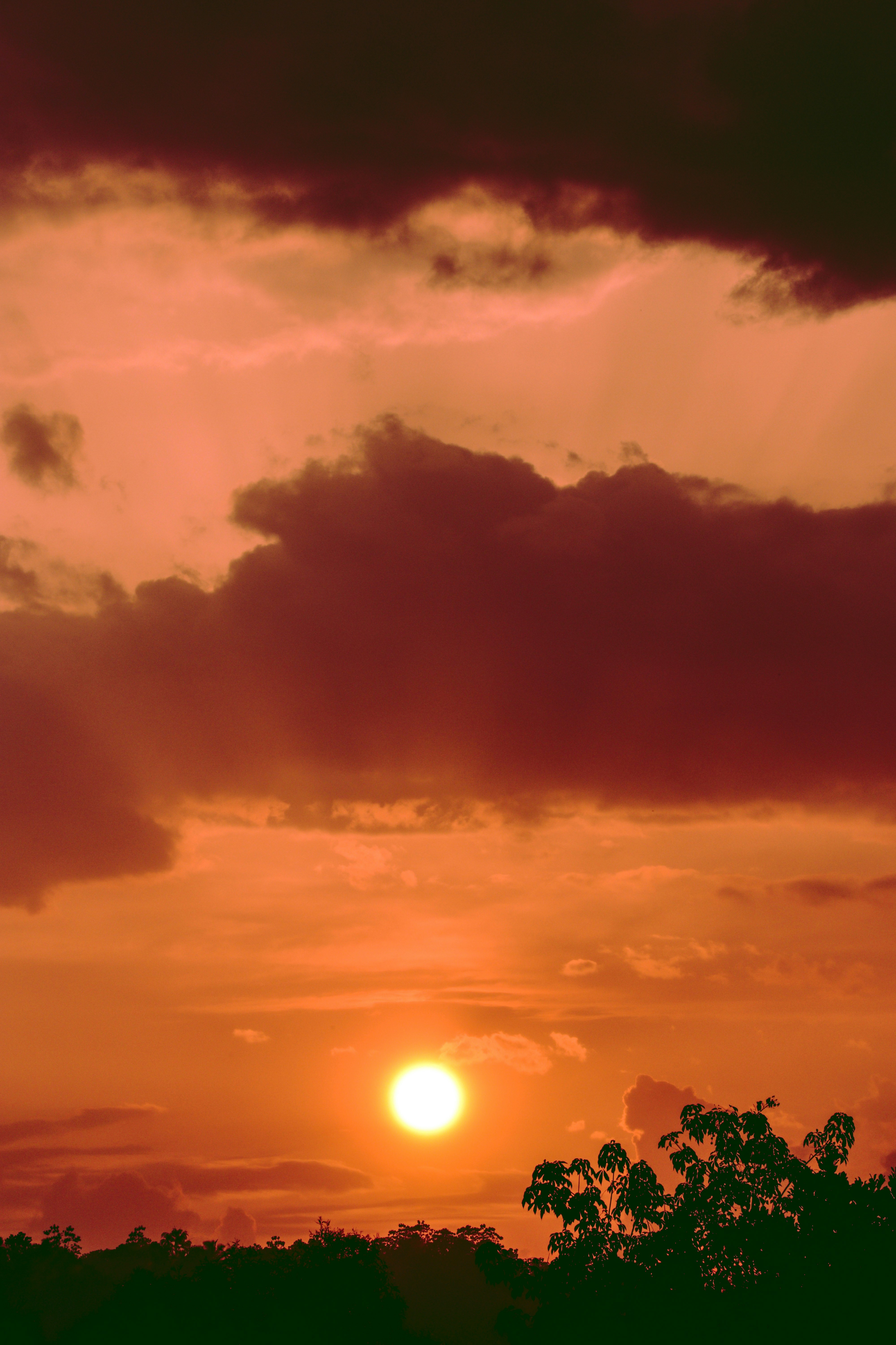 Photo by himashiyan