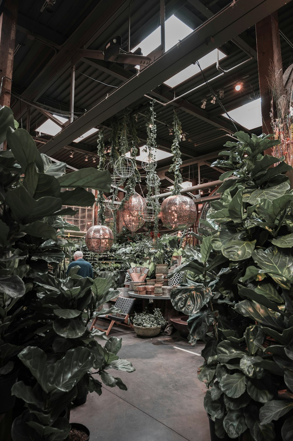 a room filled with lots of plants and hanging lights