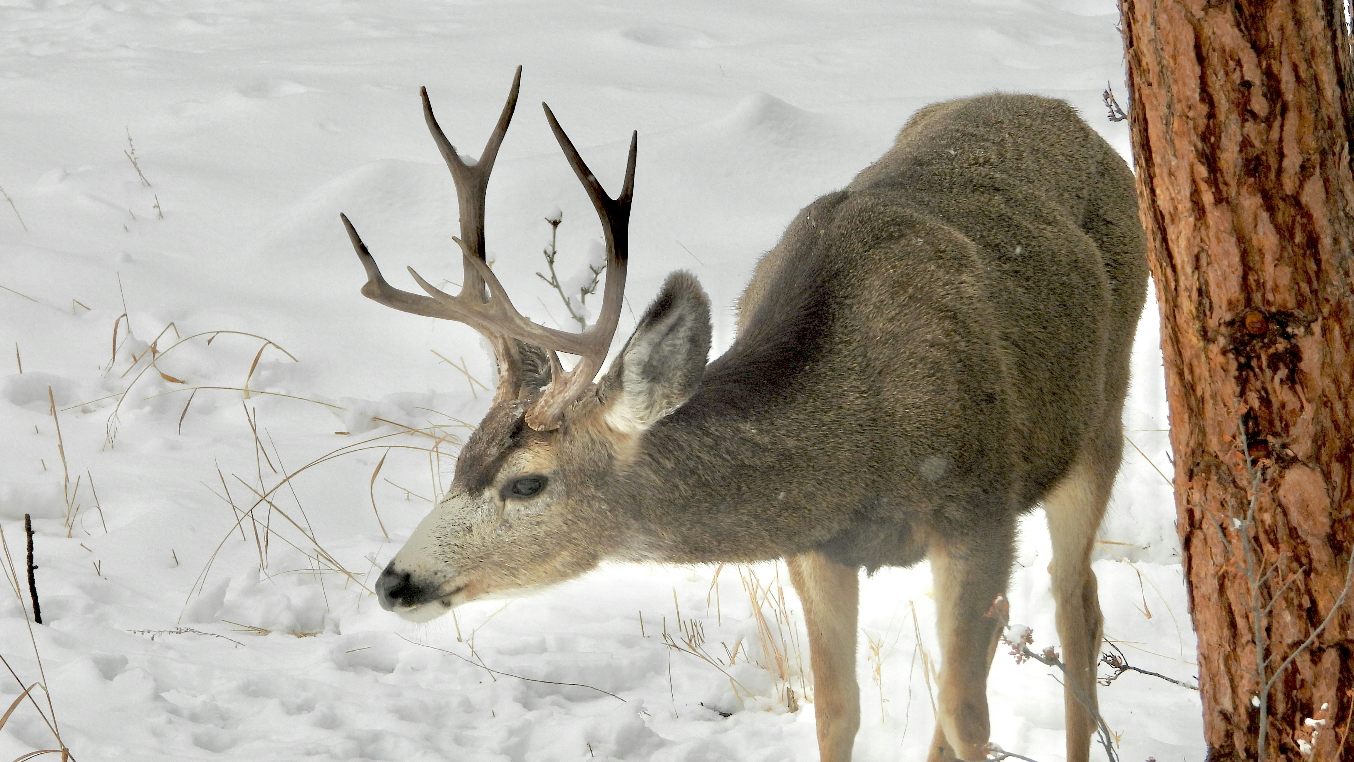 Photo by evergreene24