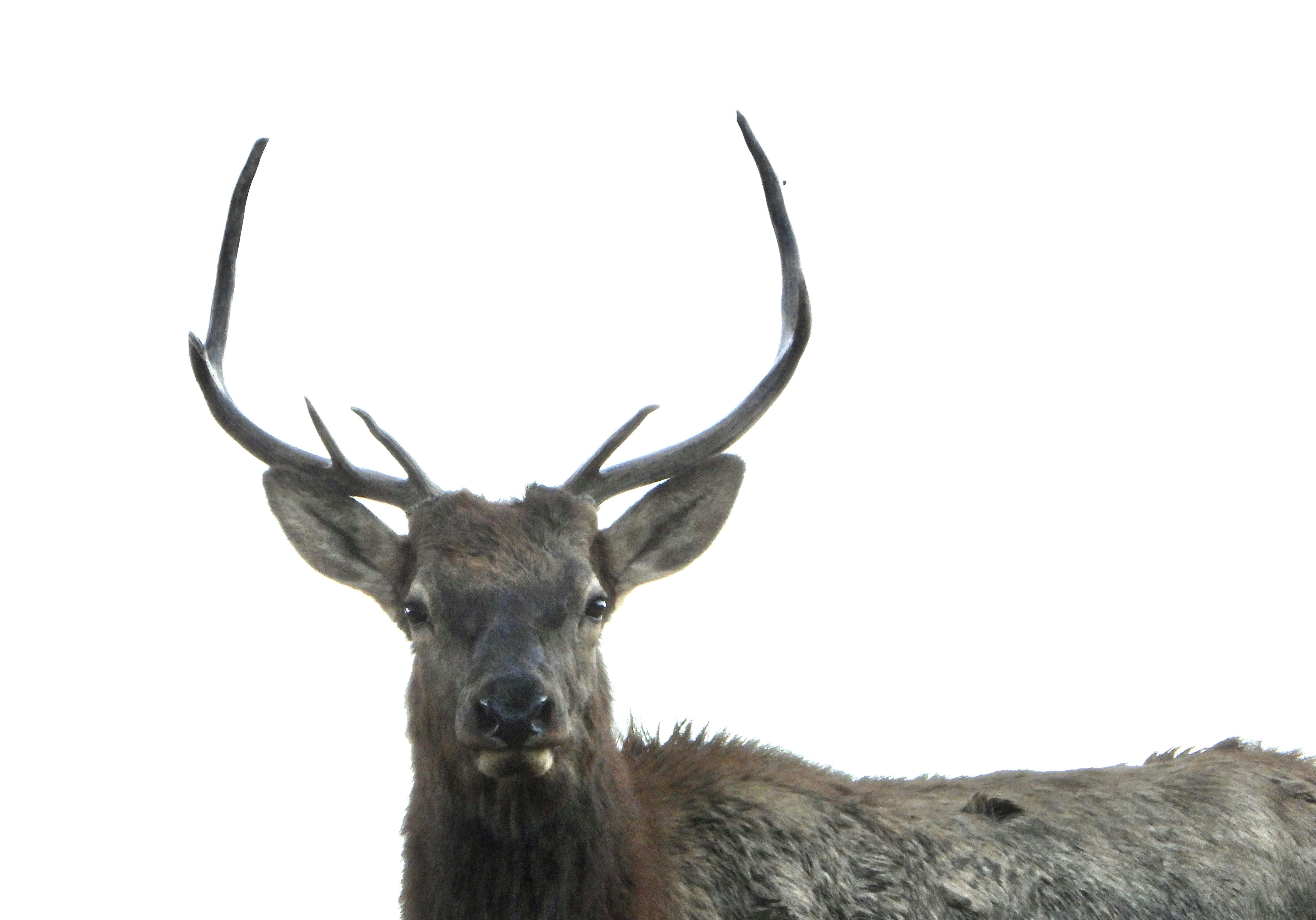 Photo by evergreene24