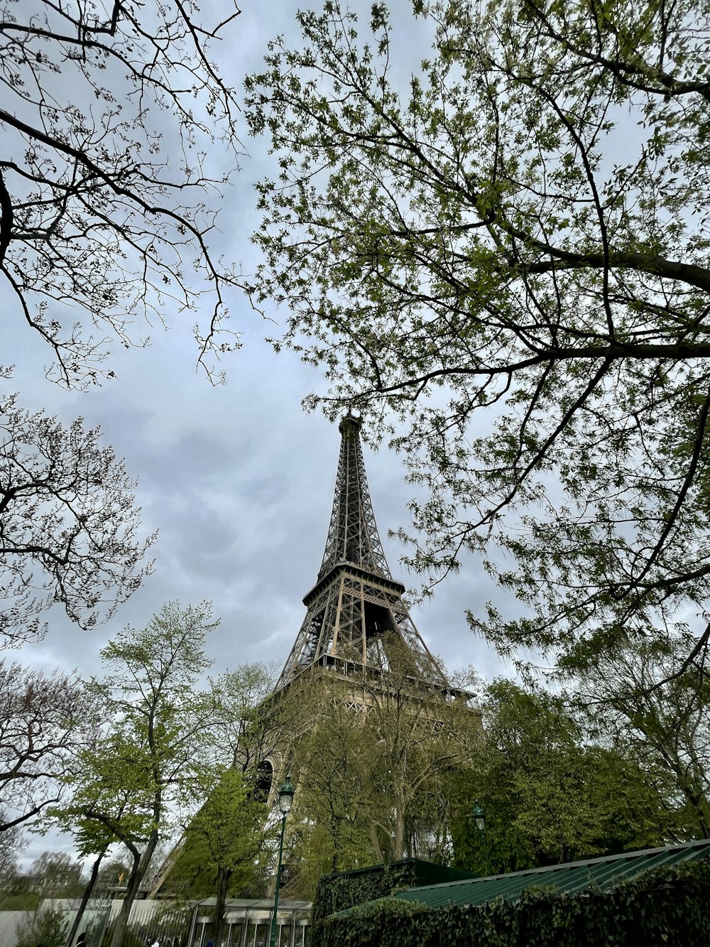 Una vista della Torre Eiffel attraverso gli alberi